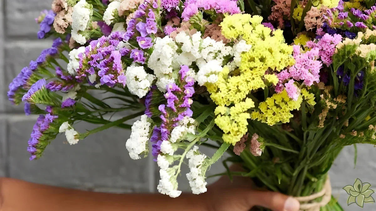 Art of Flower Delivery and Customer Stories