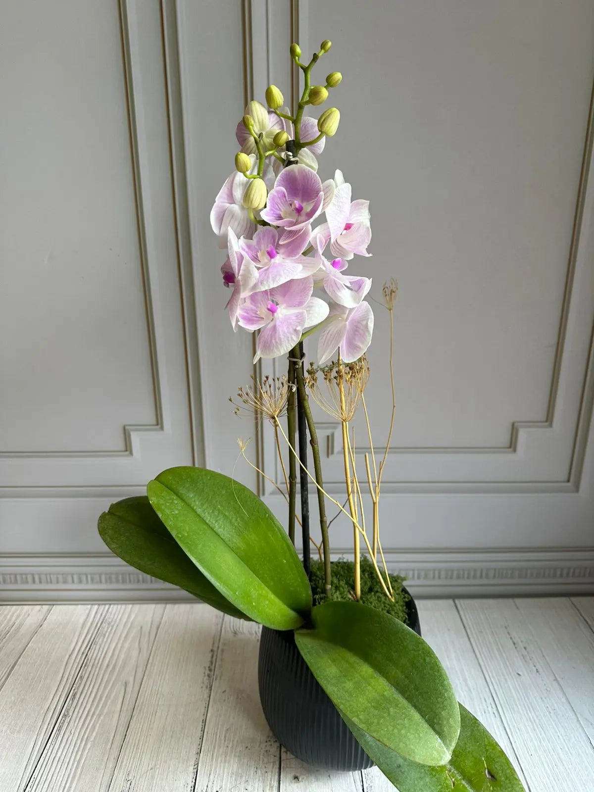 Light pink Striped 1magnolialane