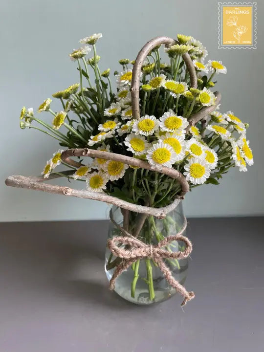 Li’l Rays Of Sunshine 1magnolialane