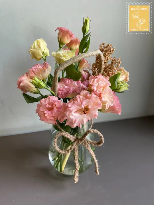 Chrysalis 1magnolialane