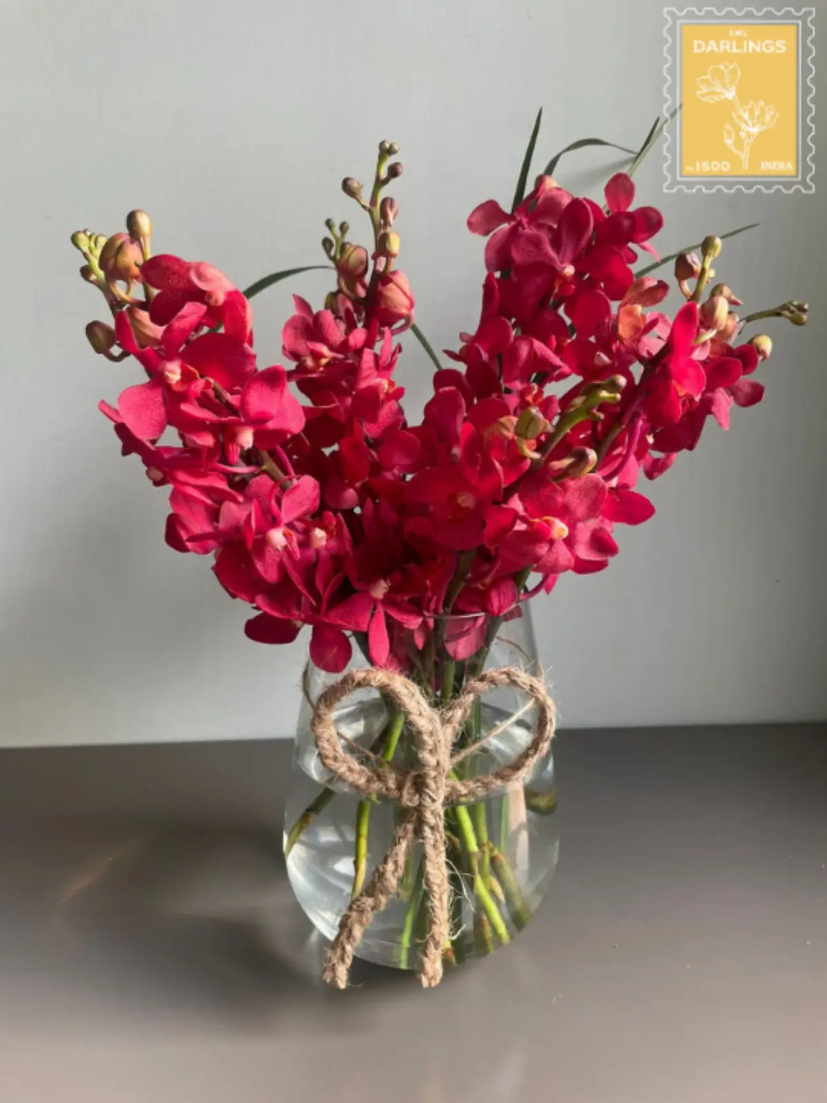 Rainbow Red 1magnolialane