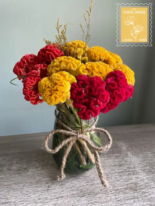 Darlington 1magnolialane