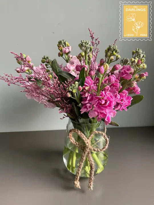 Pocket Sized Universe 1magnolialane