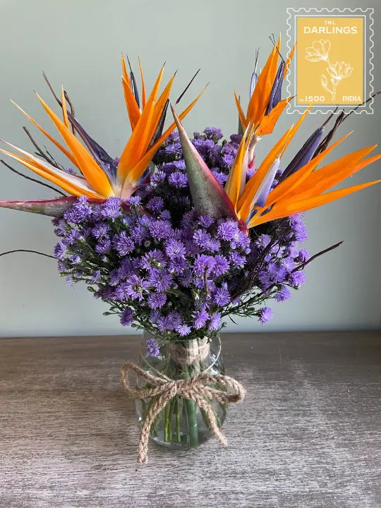 Snickerdoodle 1magnolialane