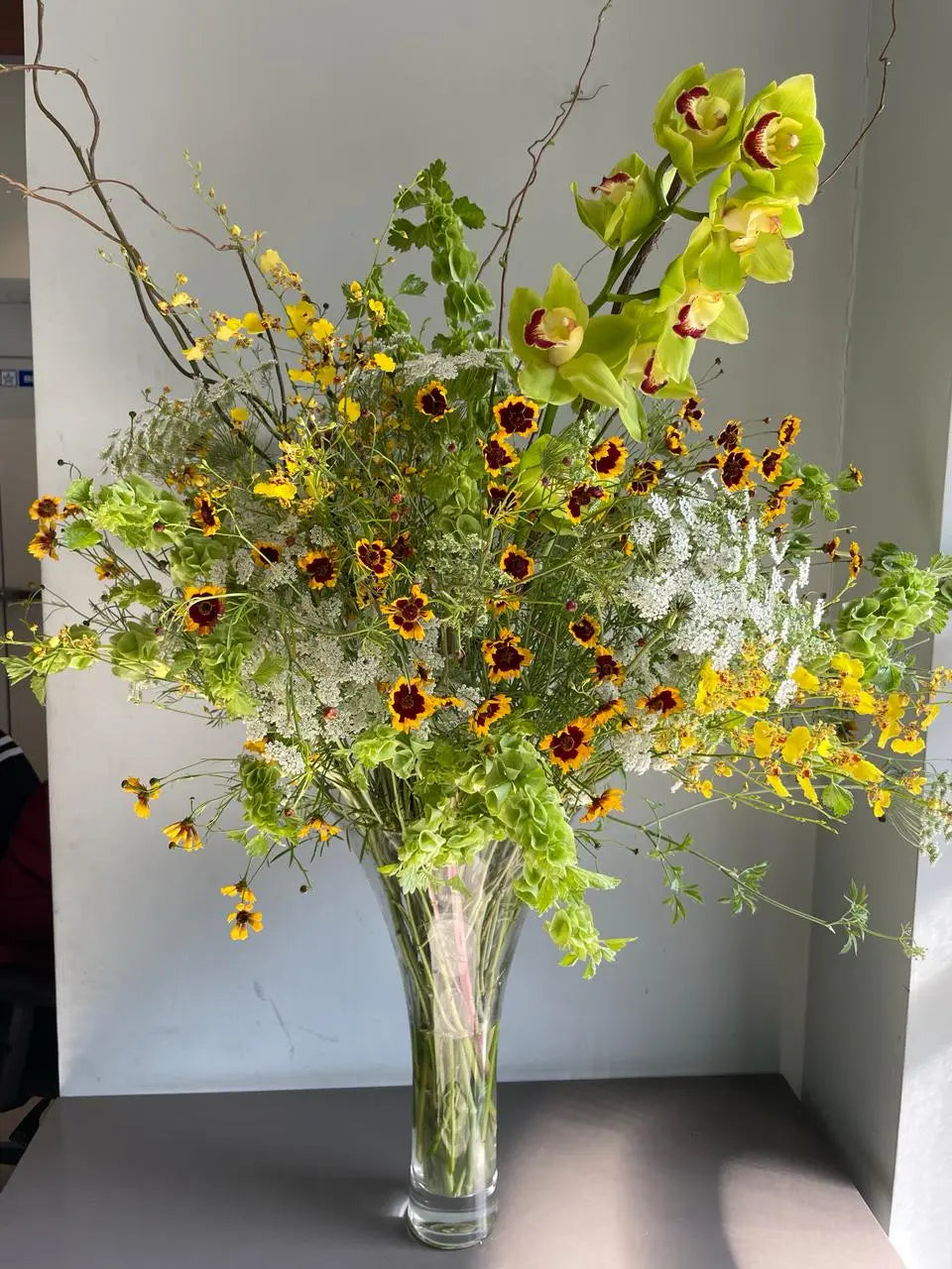 The Lucky One 1magnolialane