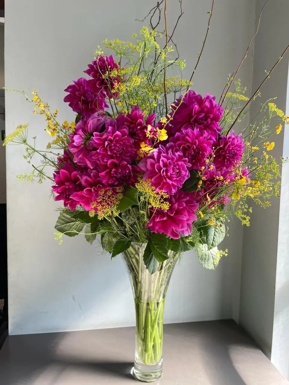 Dahlia-doo 1magnolialane