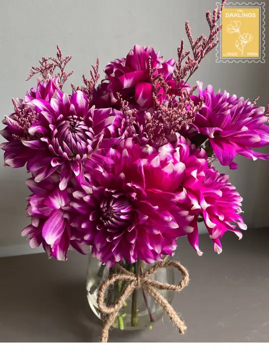 Delulu Dahlias 1magnolialane