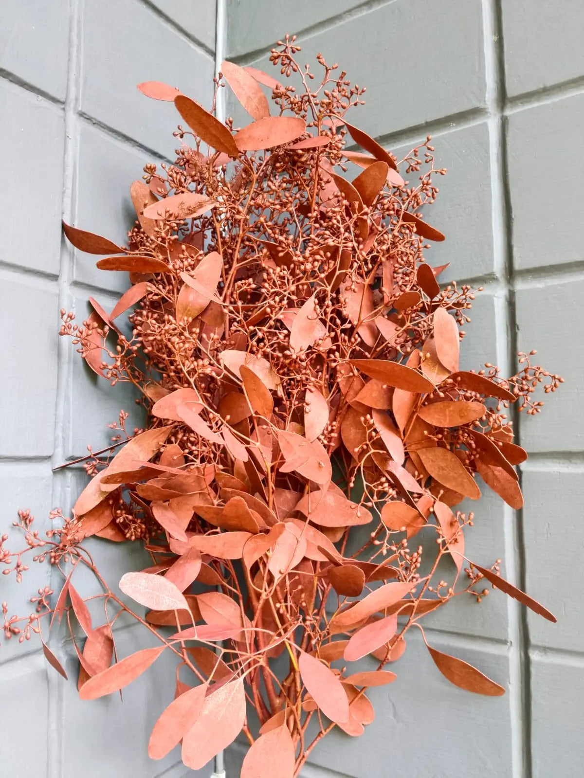 Seeded Eucalyptus Populous 1magnolialane