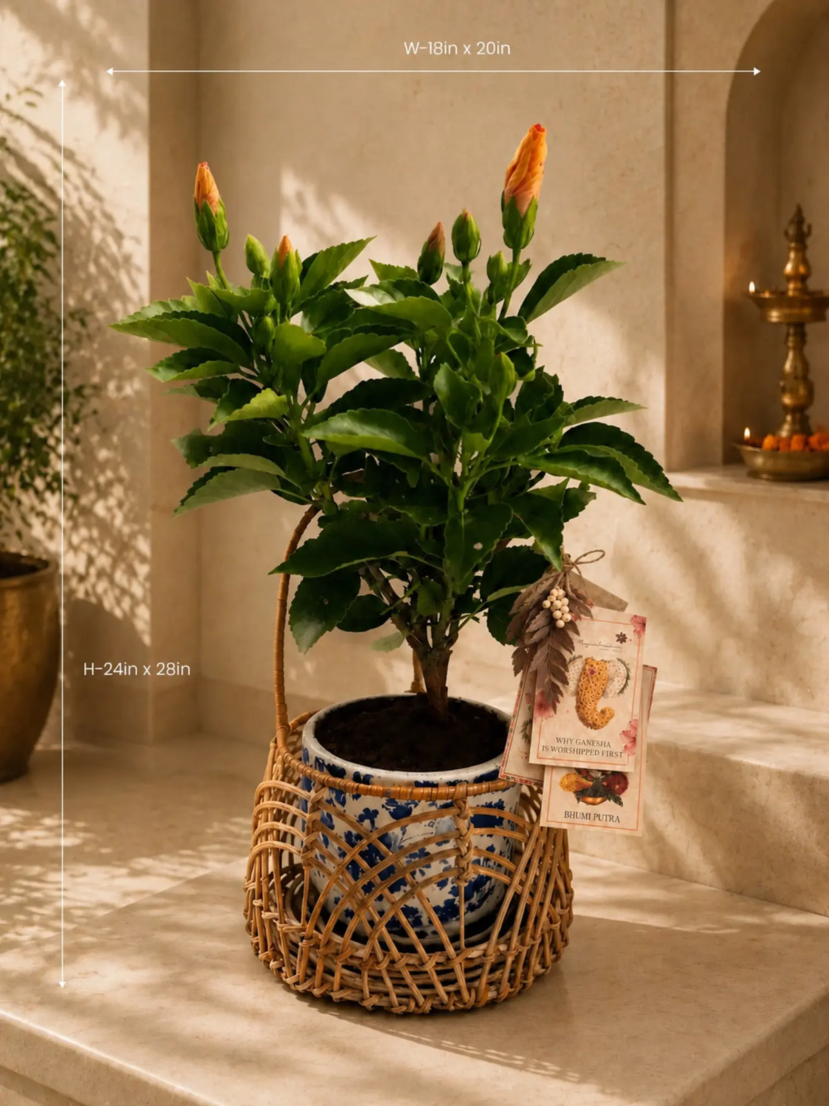 Kesari Japa 1magnolialane