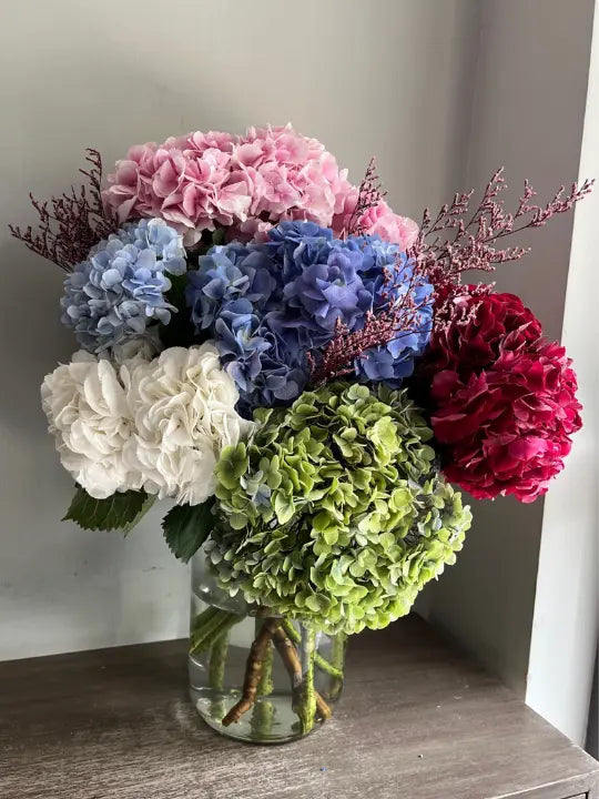 Hydrangea 1magnolialane