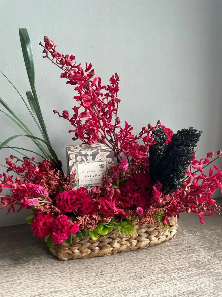 Kindered Cousin 1magnolialane