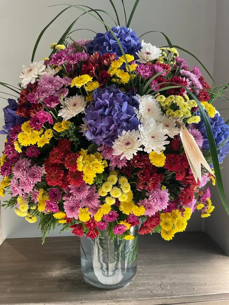 Whoopsi 1magnolialane