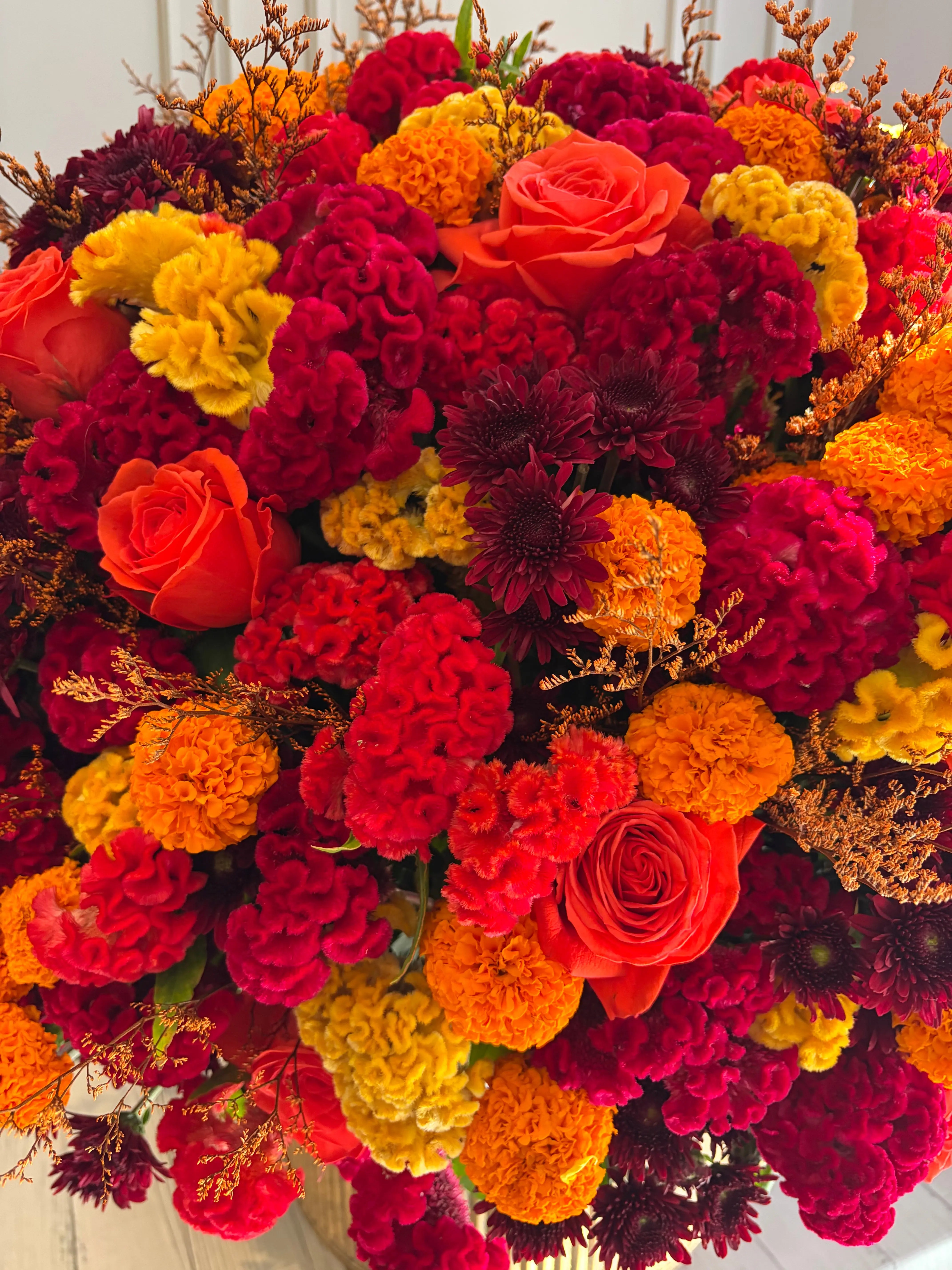 Taruja 1magnolialane