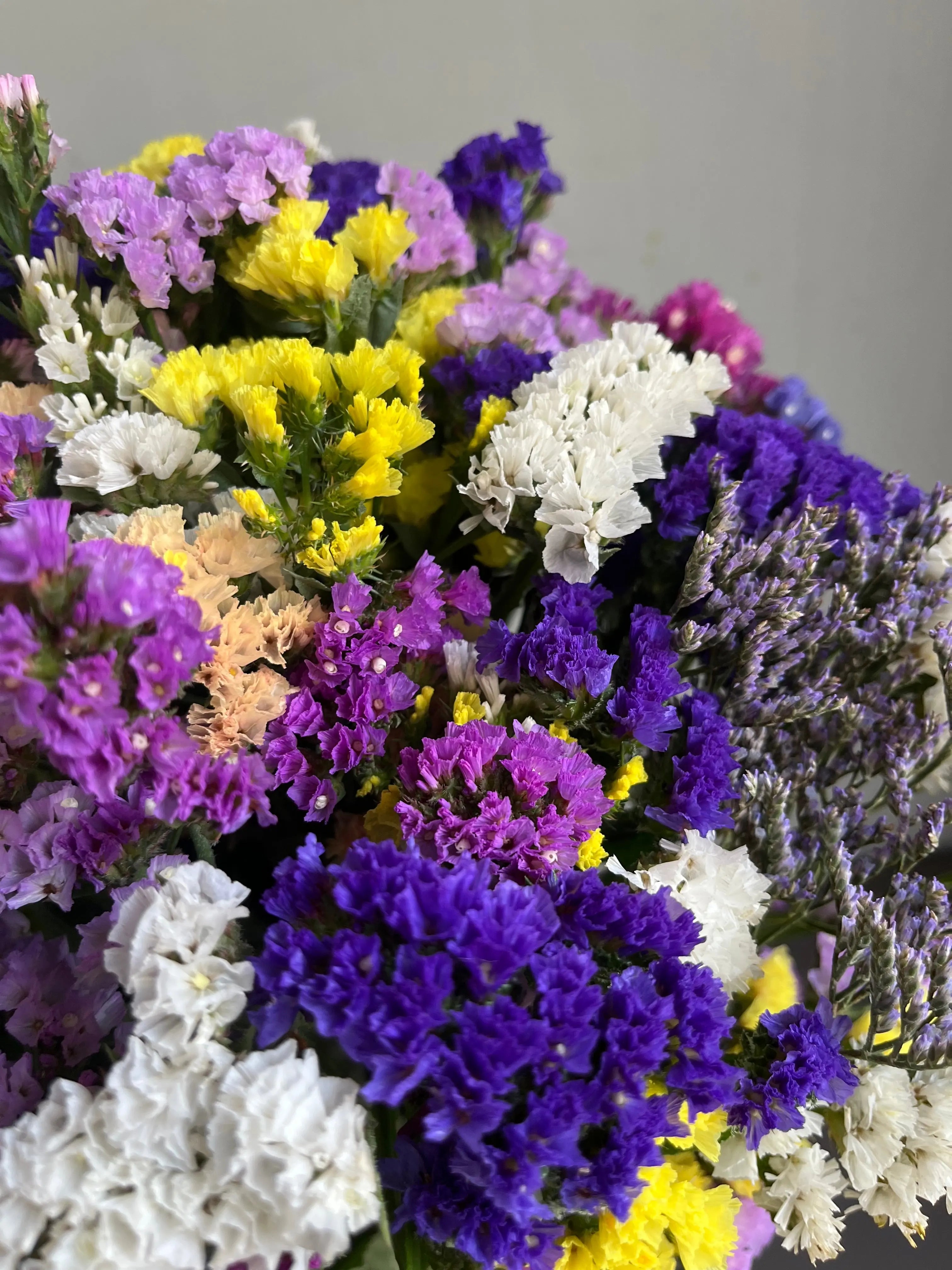 East Village 1magnolialane