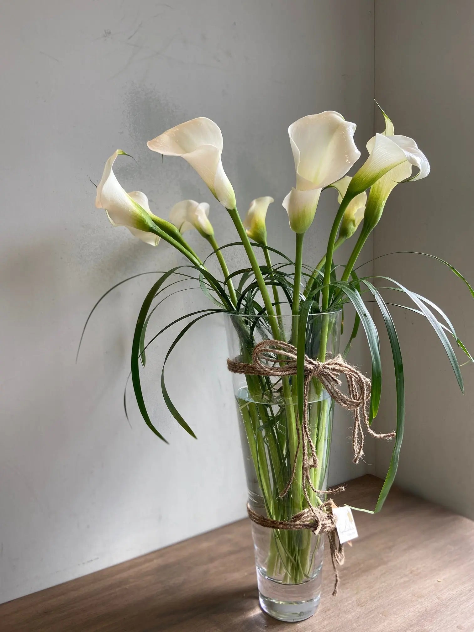 Roots & Wings 1magnolialane