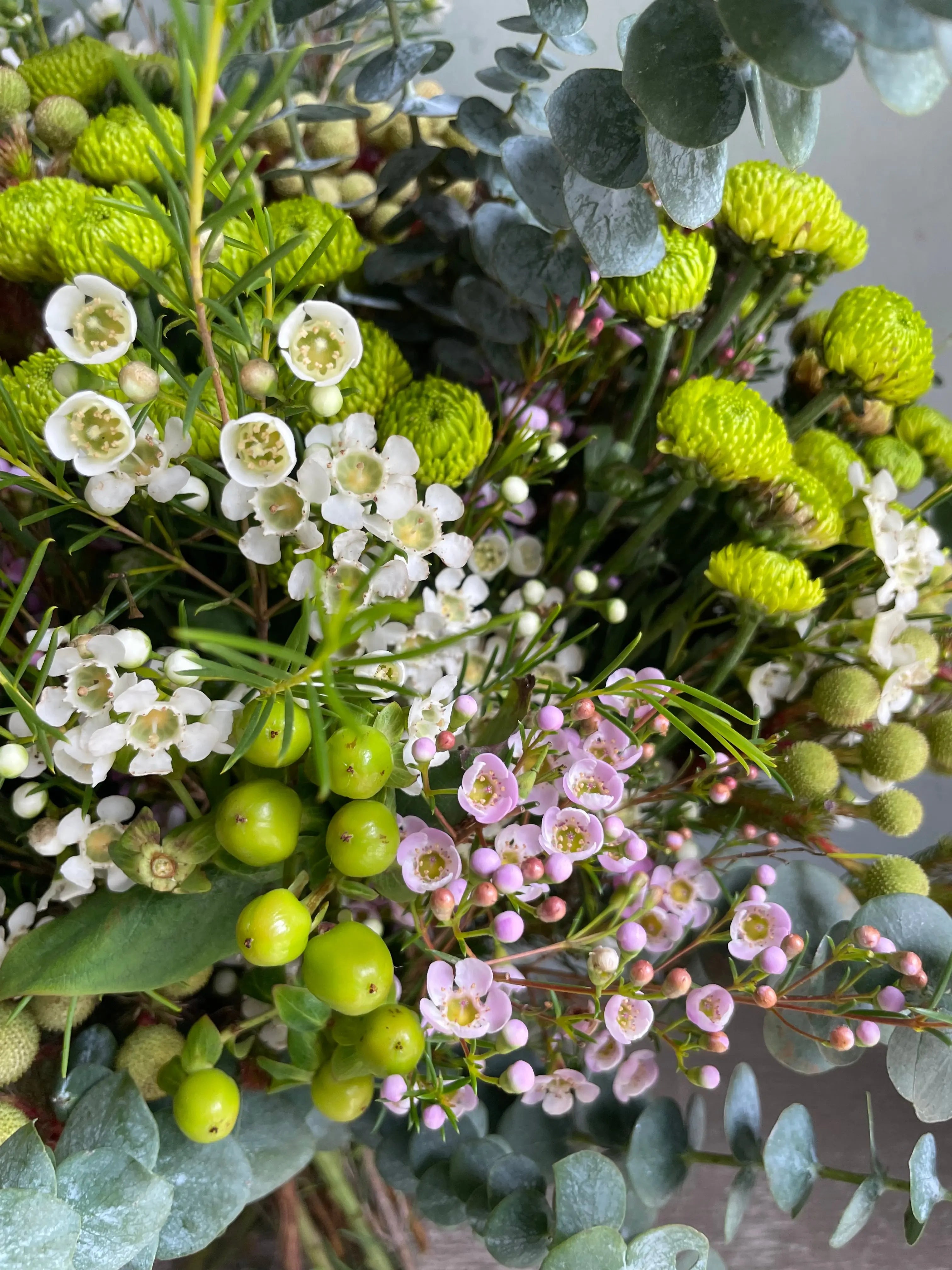 Green Flare 1magnolialane