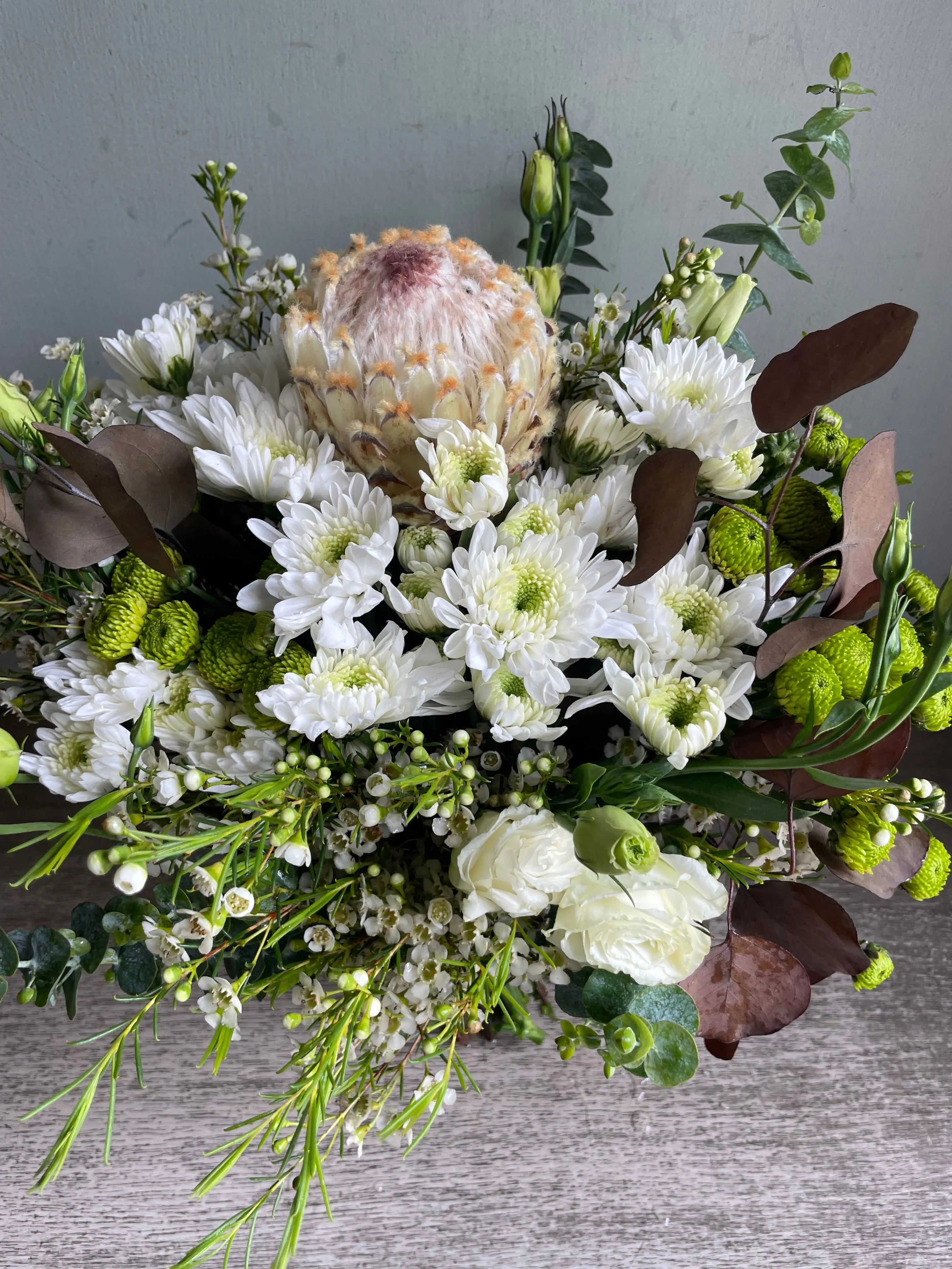 Protea Nation 1magnolialane
