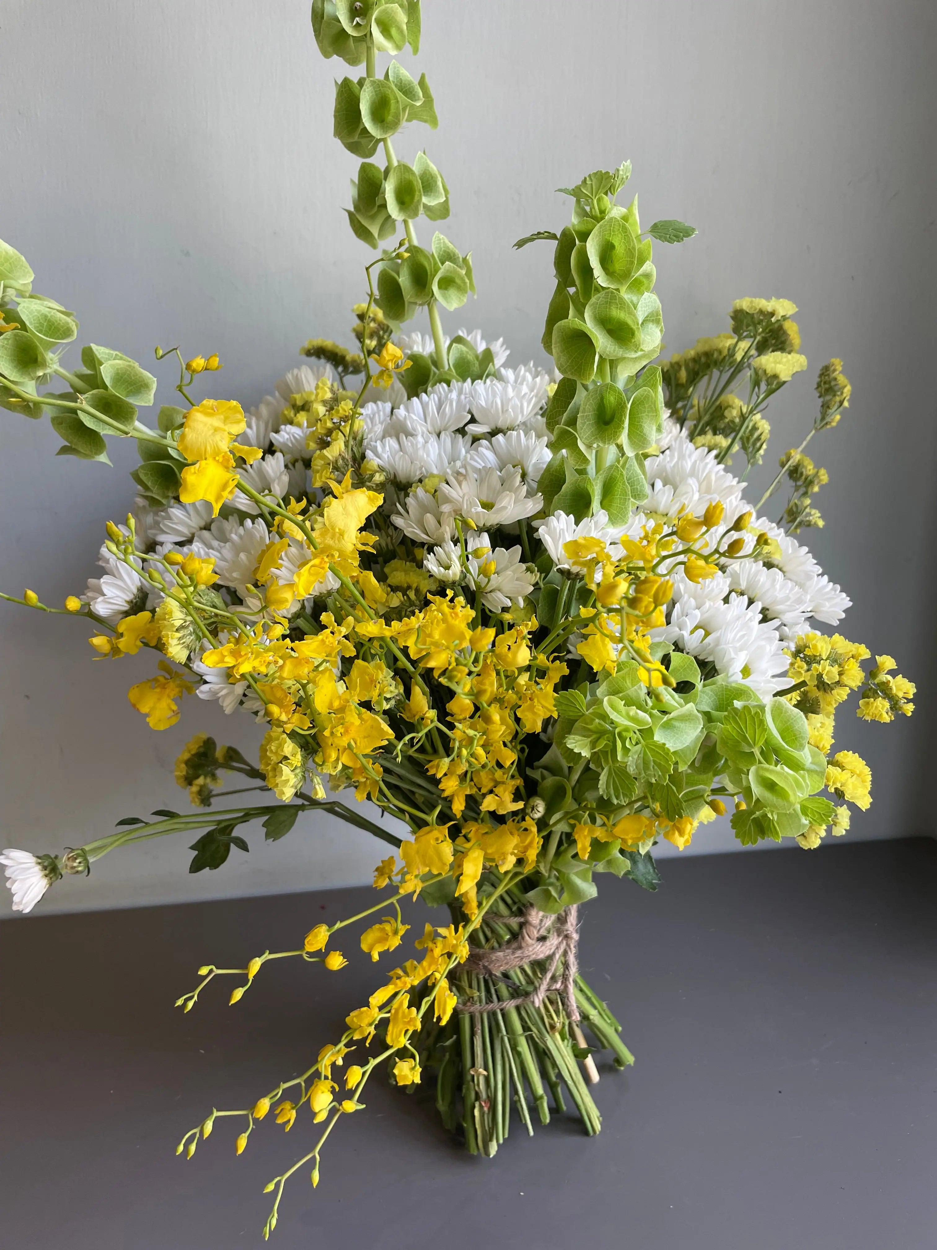 Alien Moon 1magnolialane