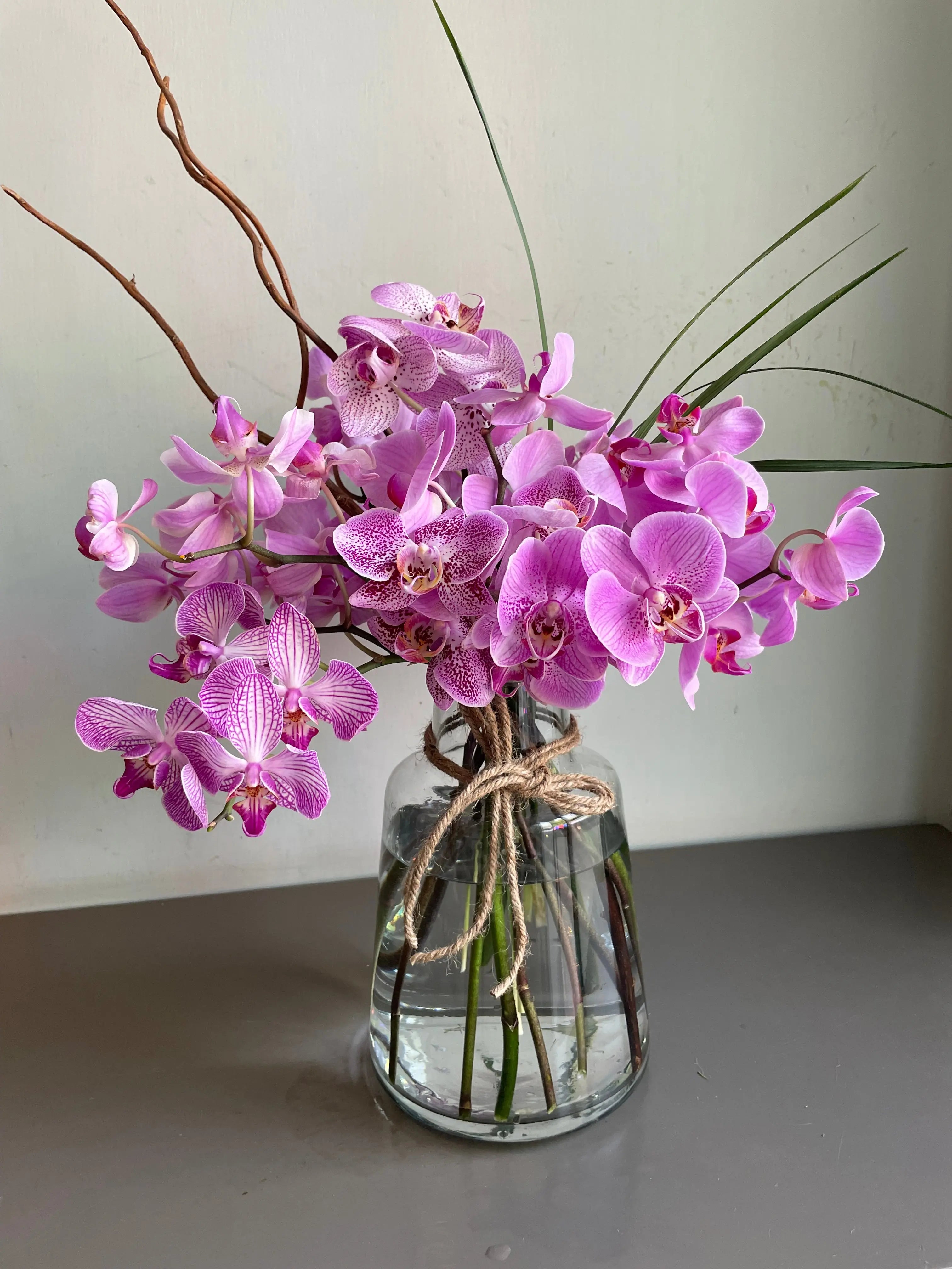 Confucius’ Favourite 1magnolialane