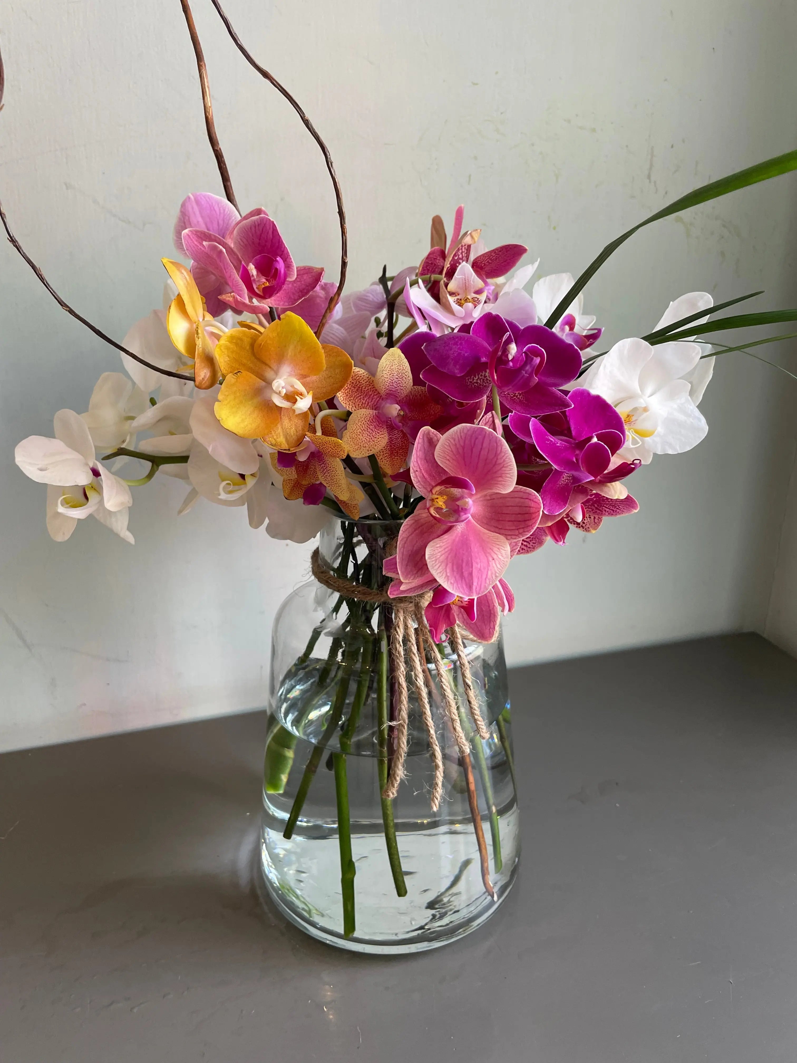 An Orchidan Saga 1magnolialane