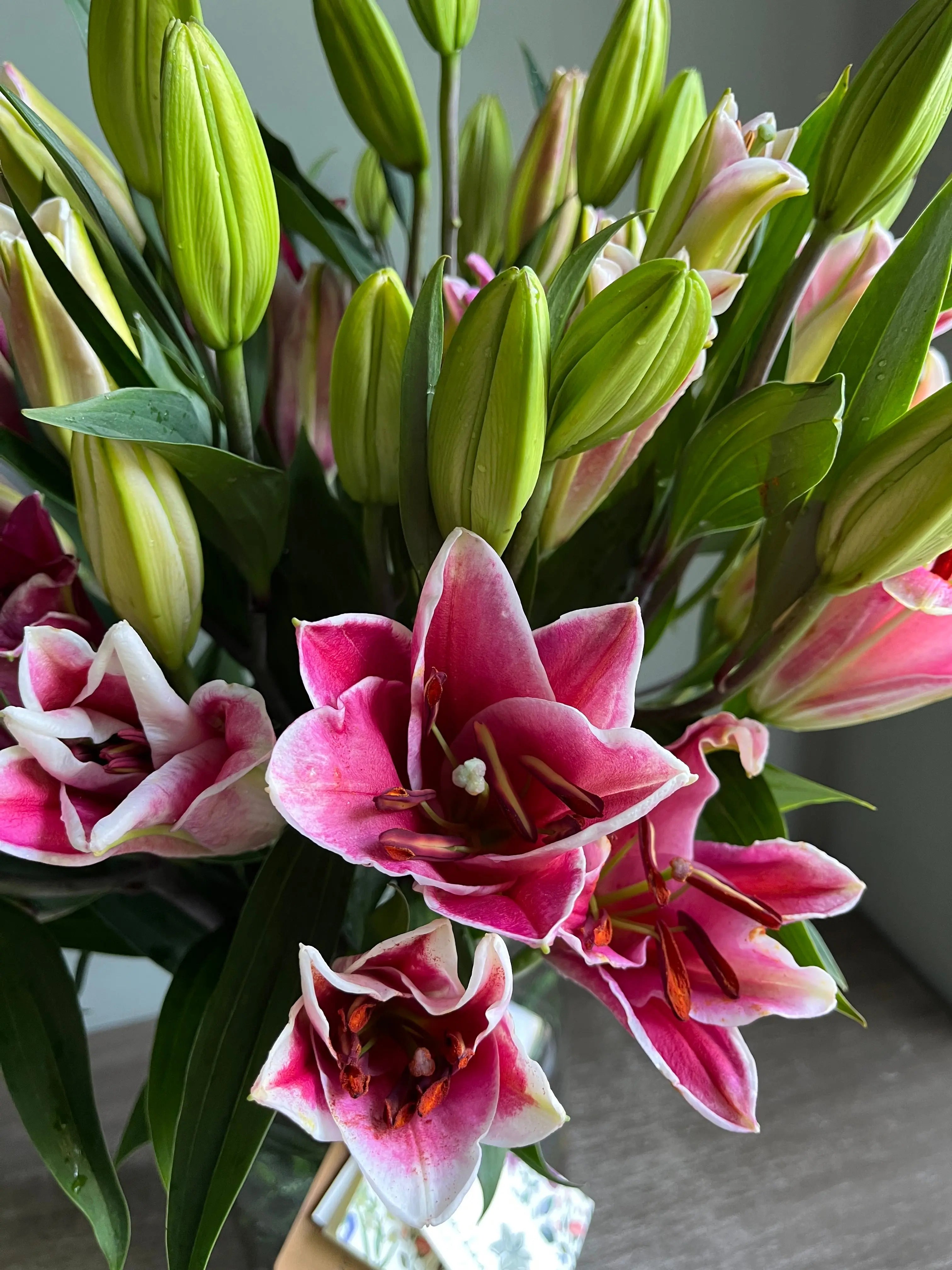 Long Live the Lilies 1magnolialane