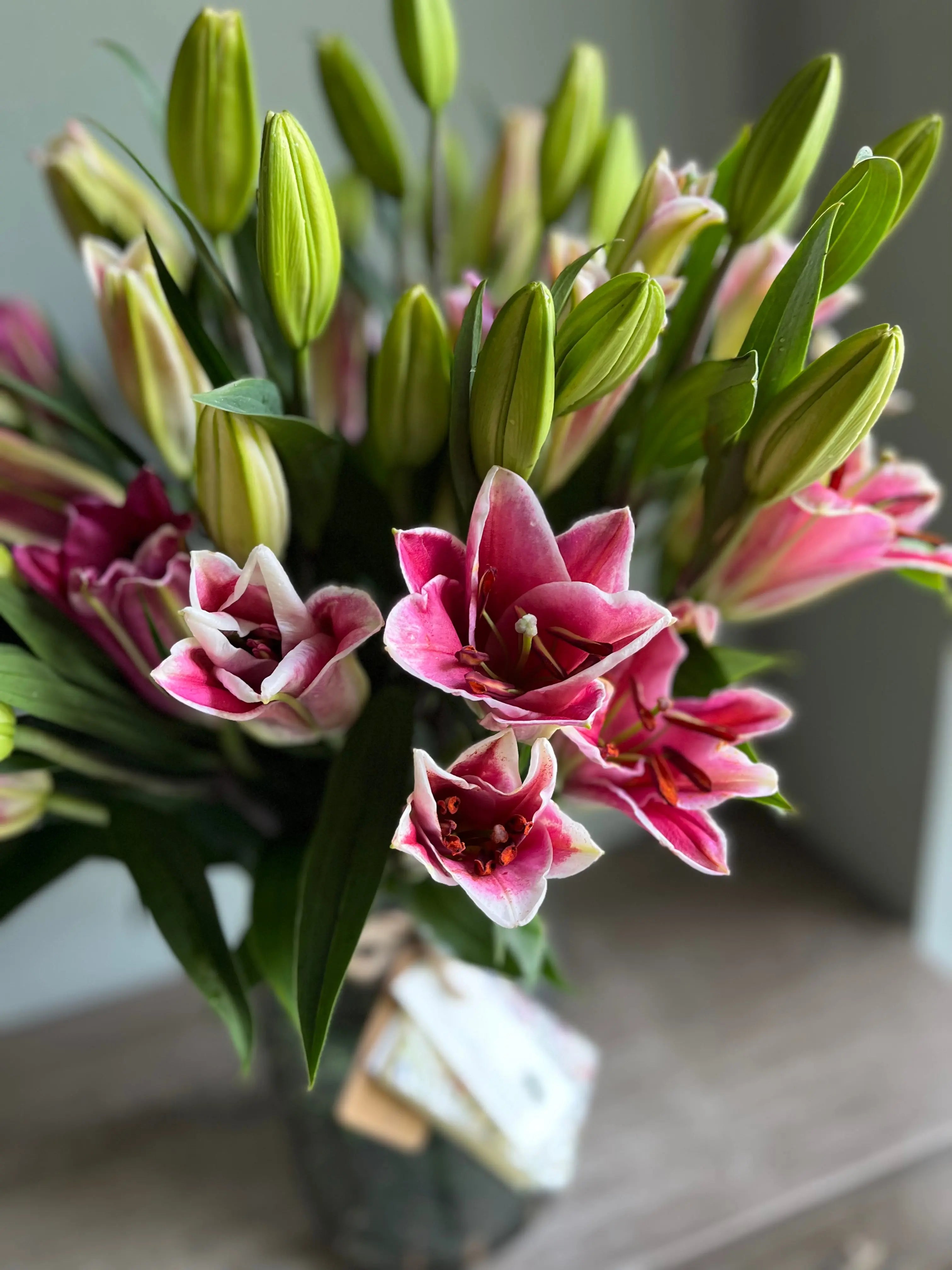 Long Live the Lilies 1magnolialane