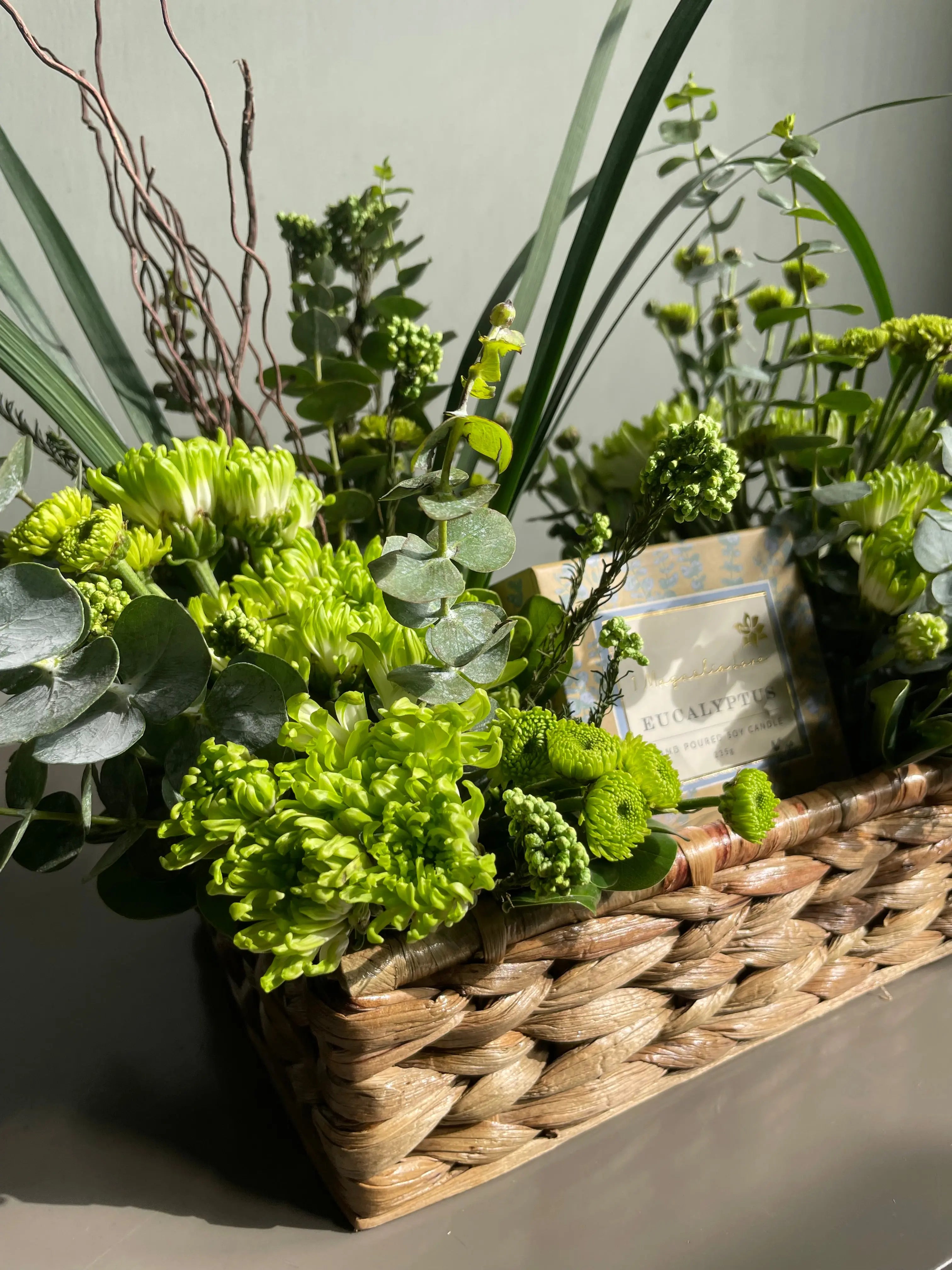 Eucalyptian Wonder 1magnolialane