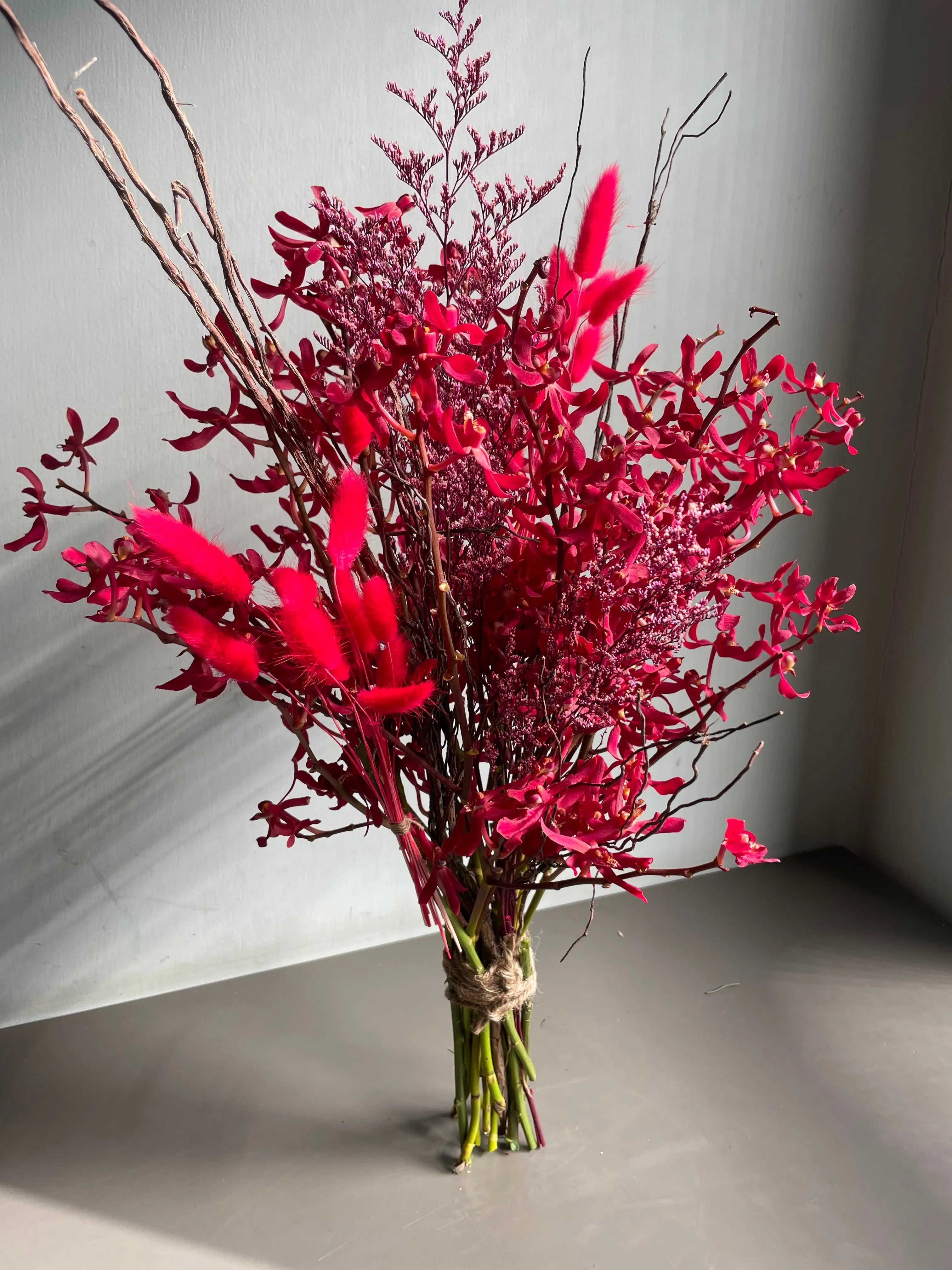 The Life Formula 1magnolialane