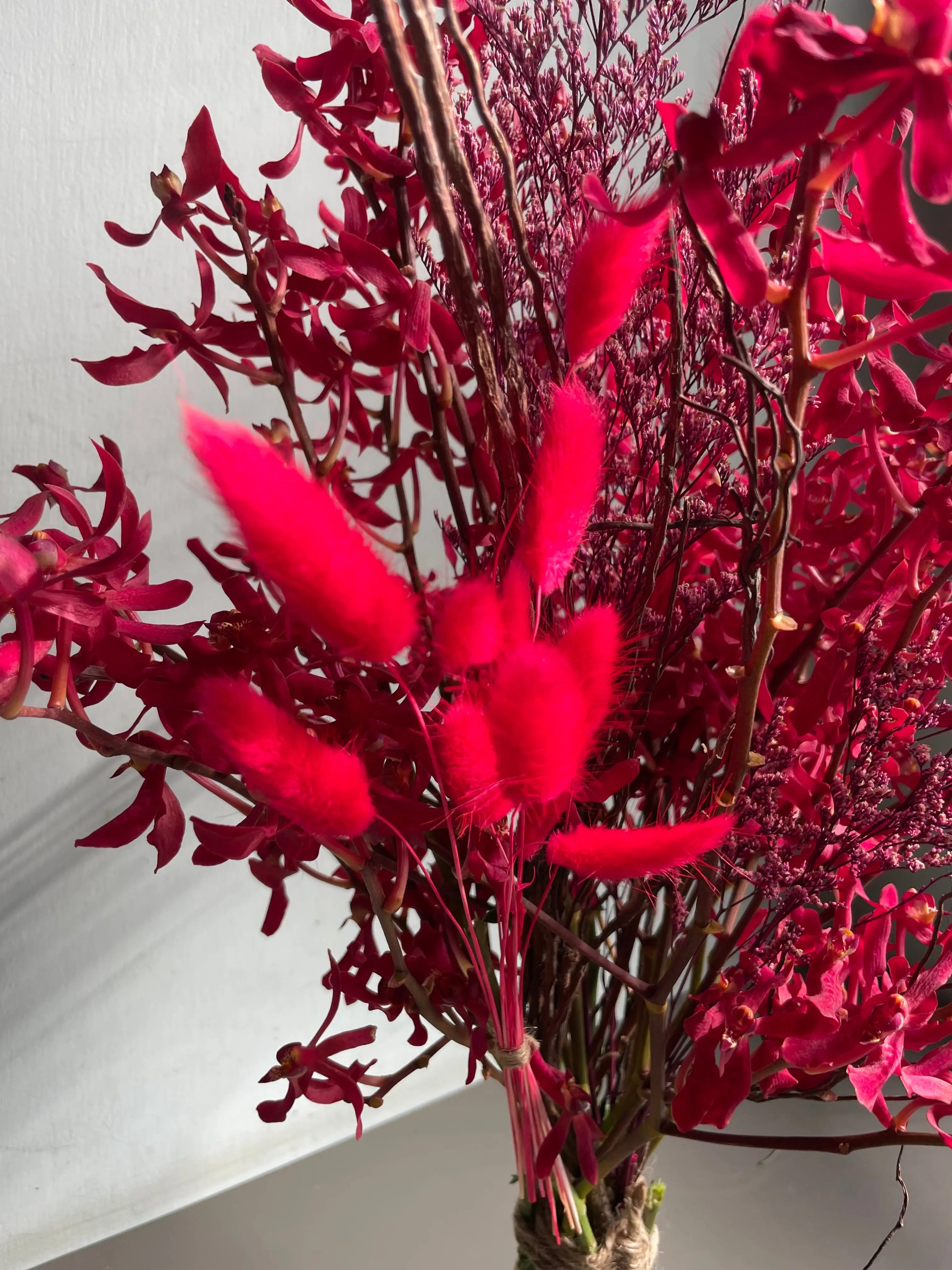 The Life Formula 1magnolialane