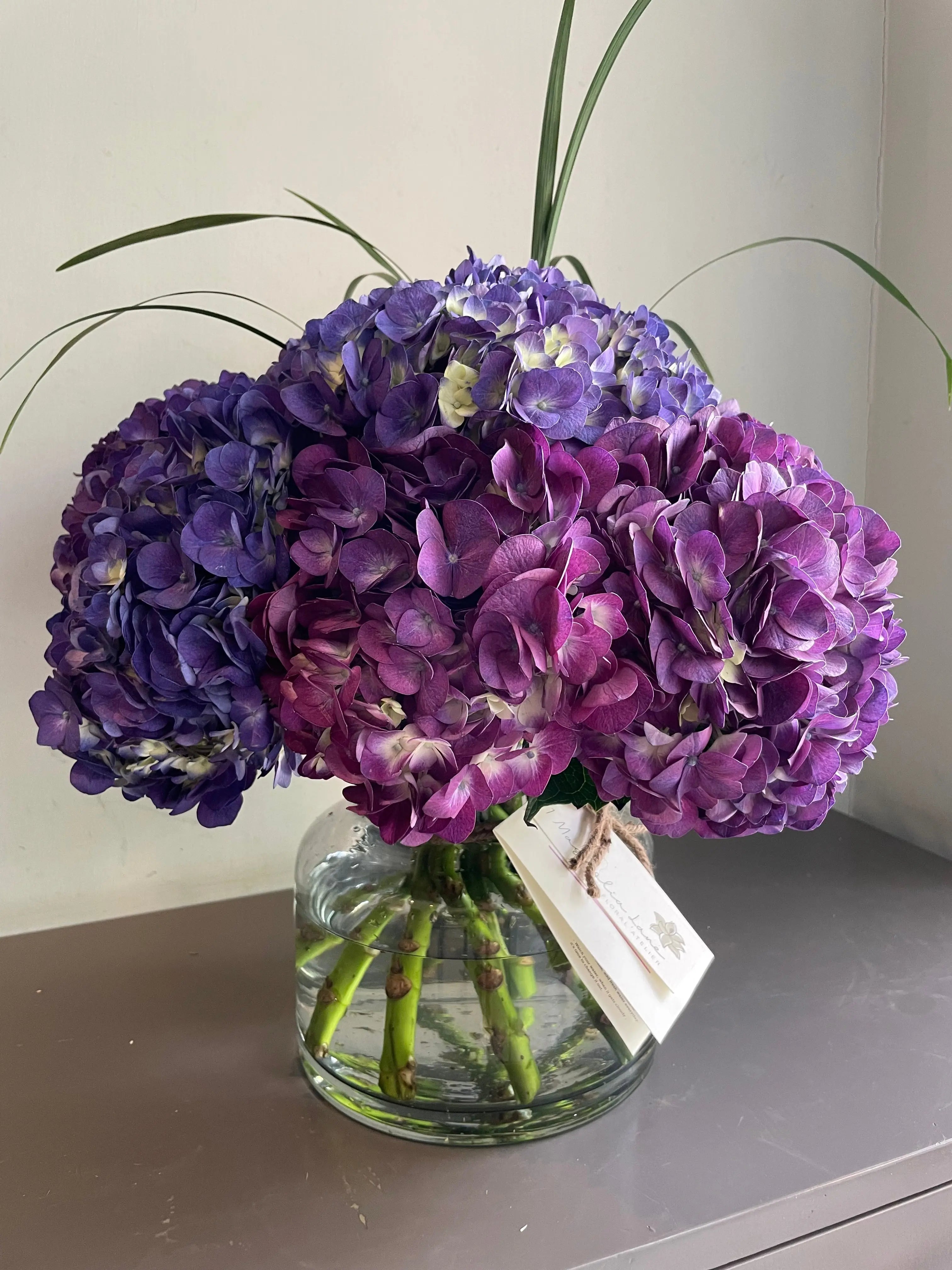 Mystic Twilight 1magnolialane