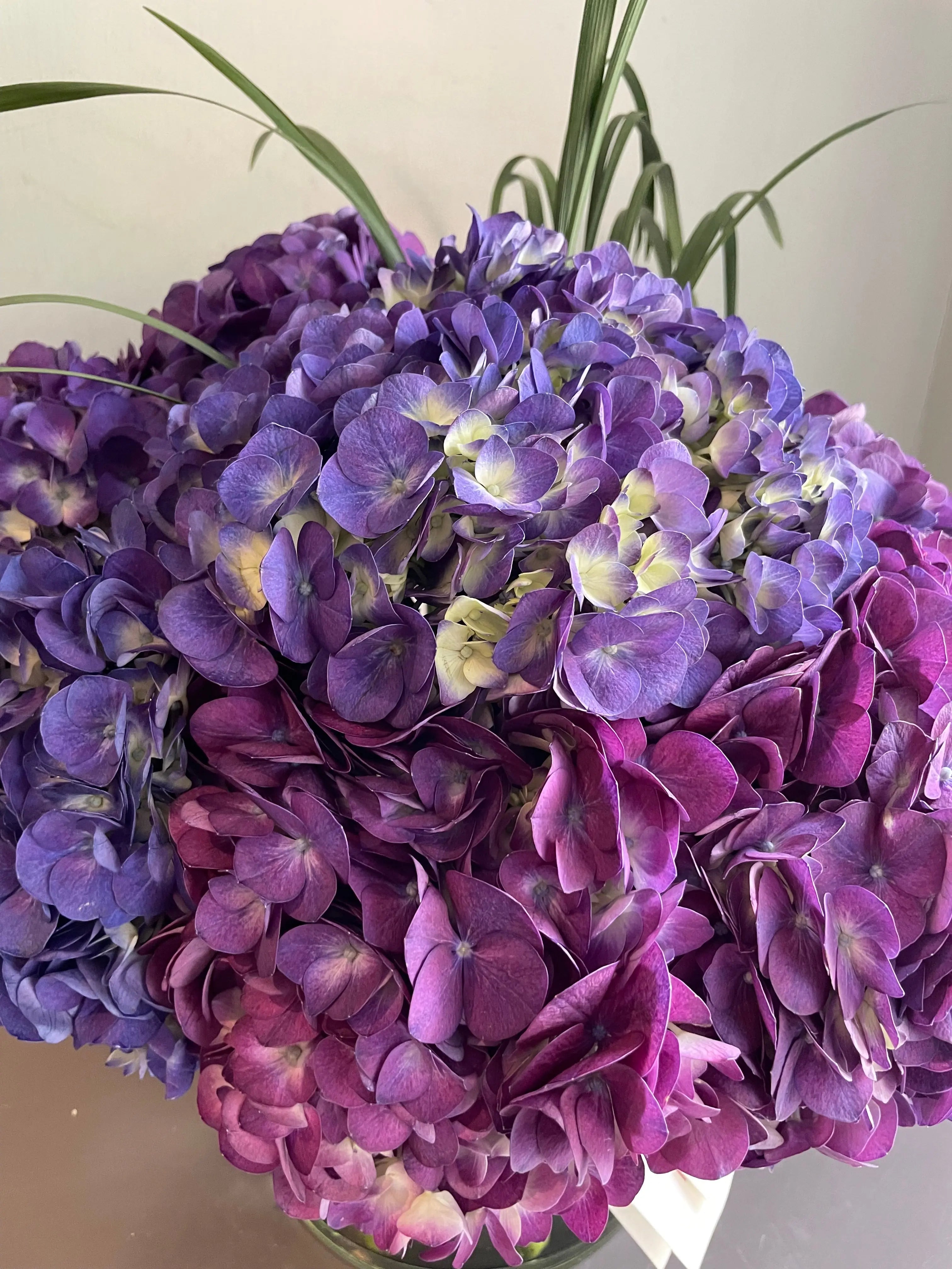 Mystic Twilight 1magnolialane