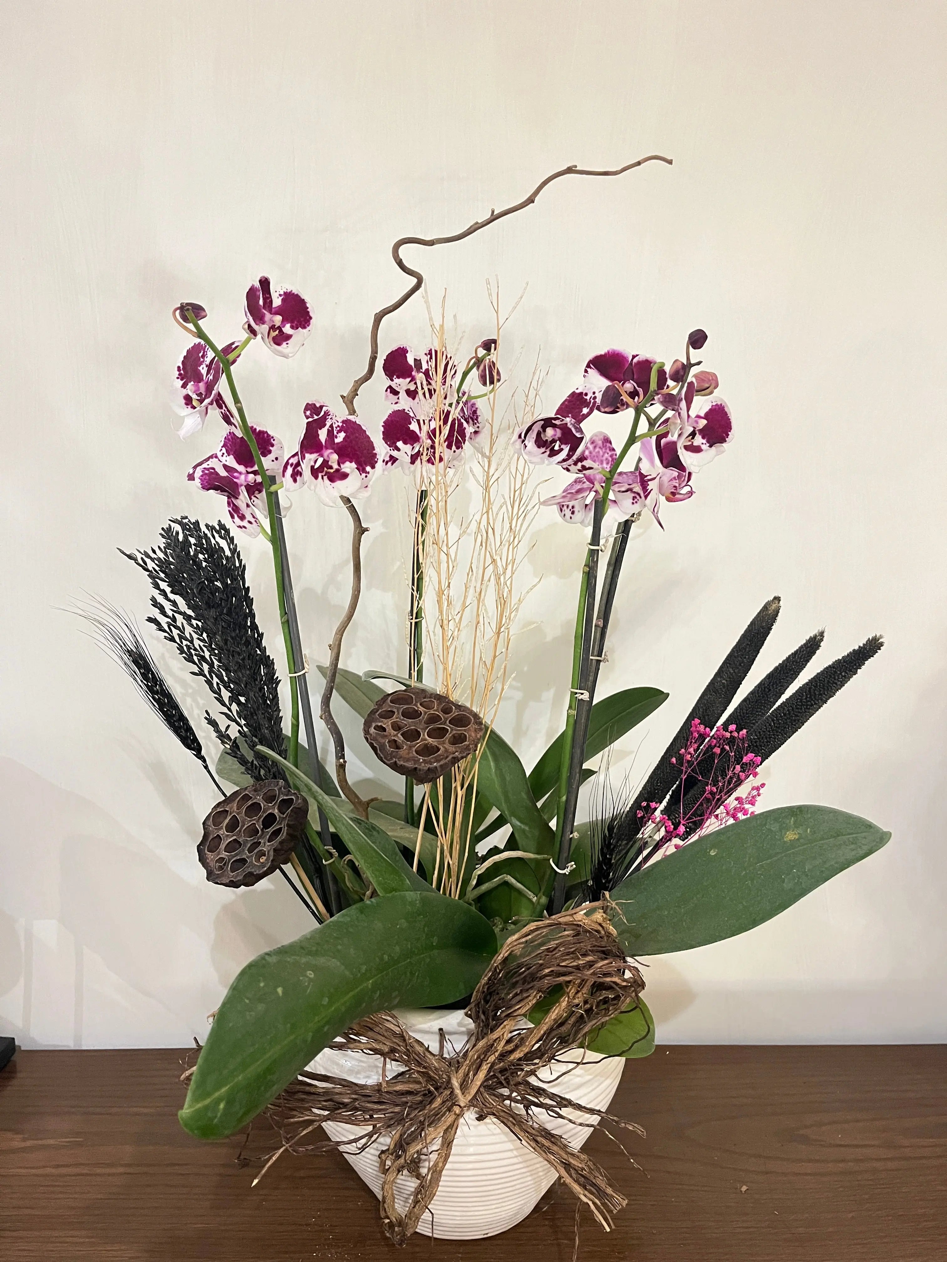 4 stem Phalaenopsis pots 1magnolialane