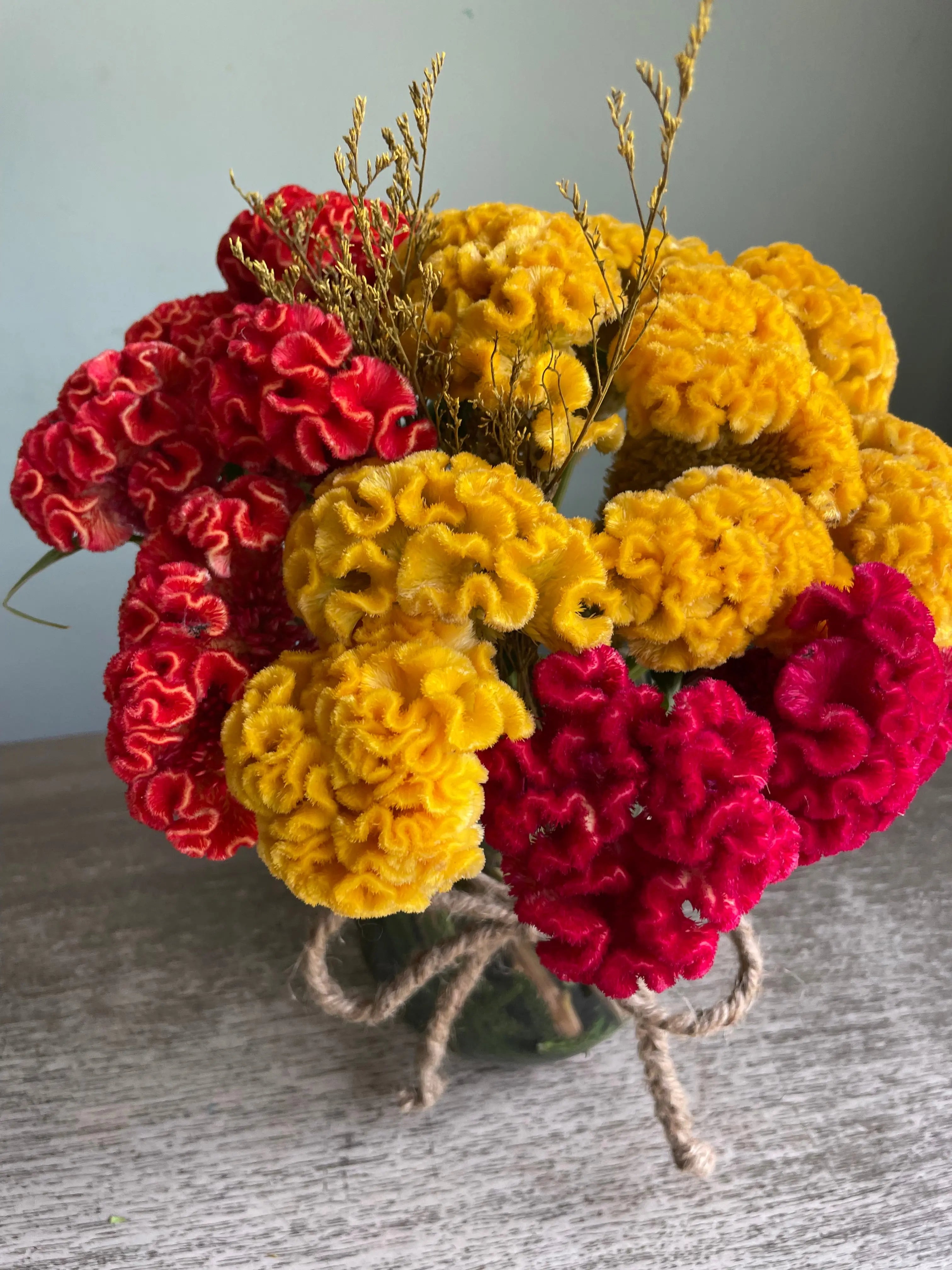 Darlington 1magnolialane