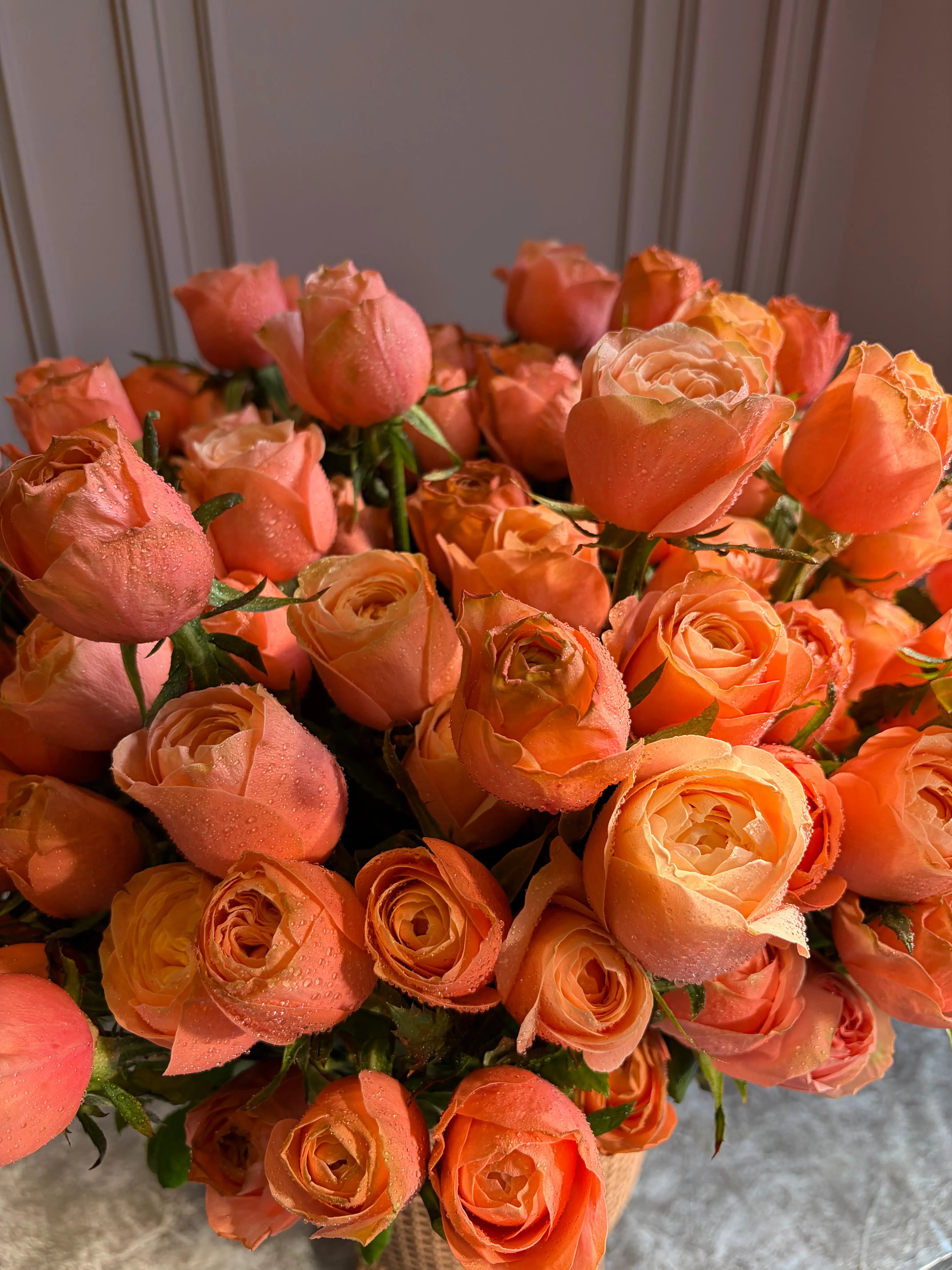 Felicità 1magnolialane