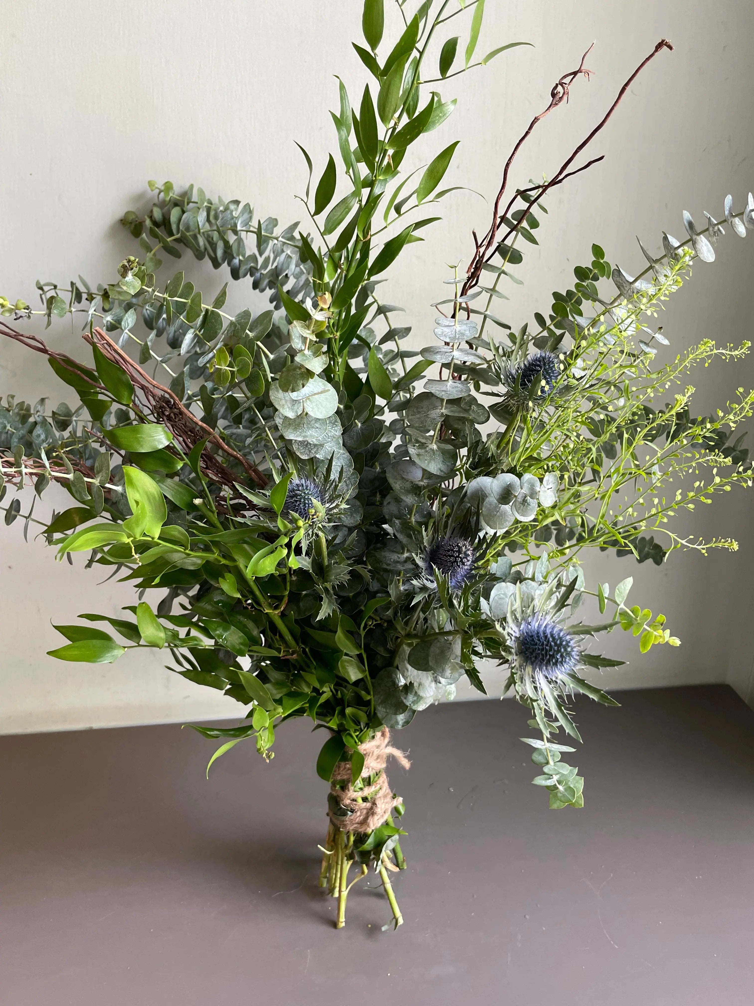 Streaming River 1magnolialane