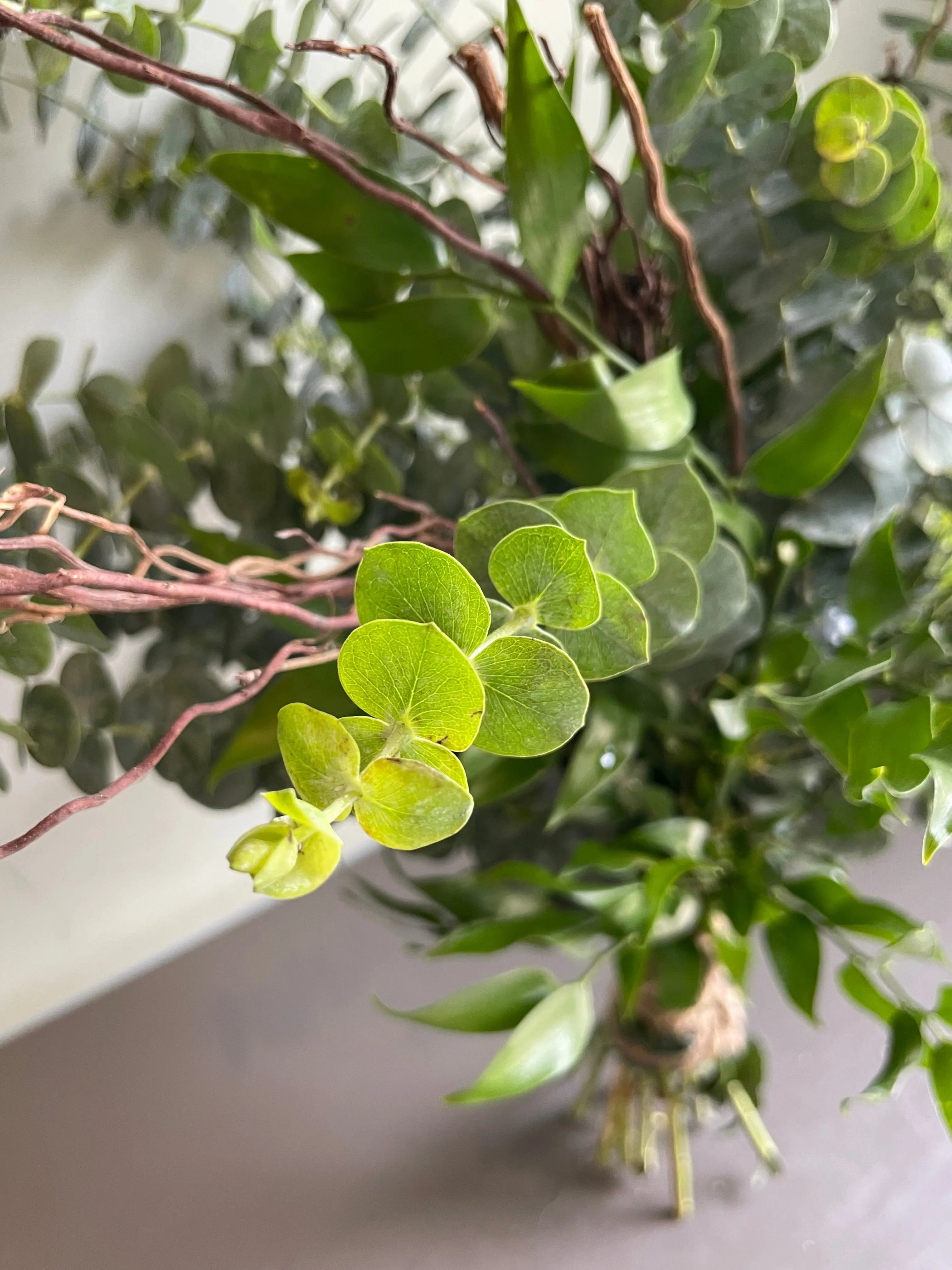 Streaming River 1magnolialane