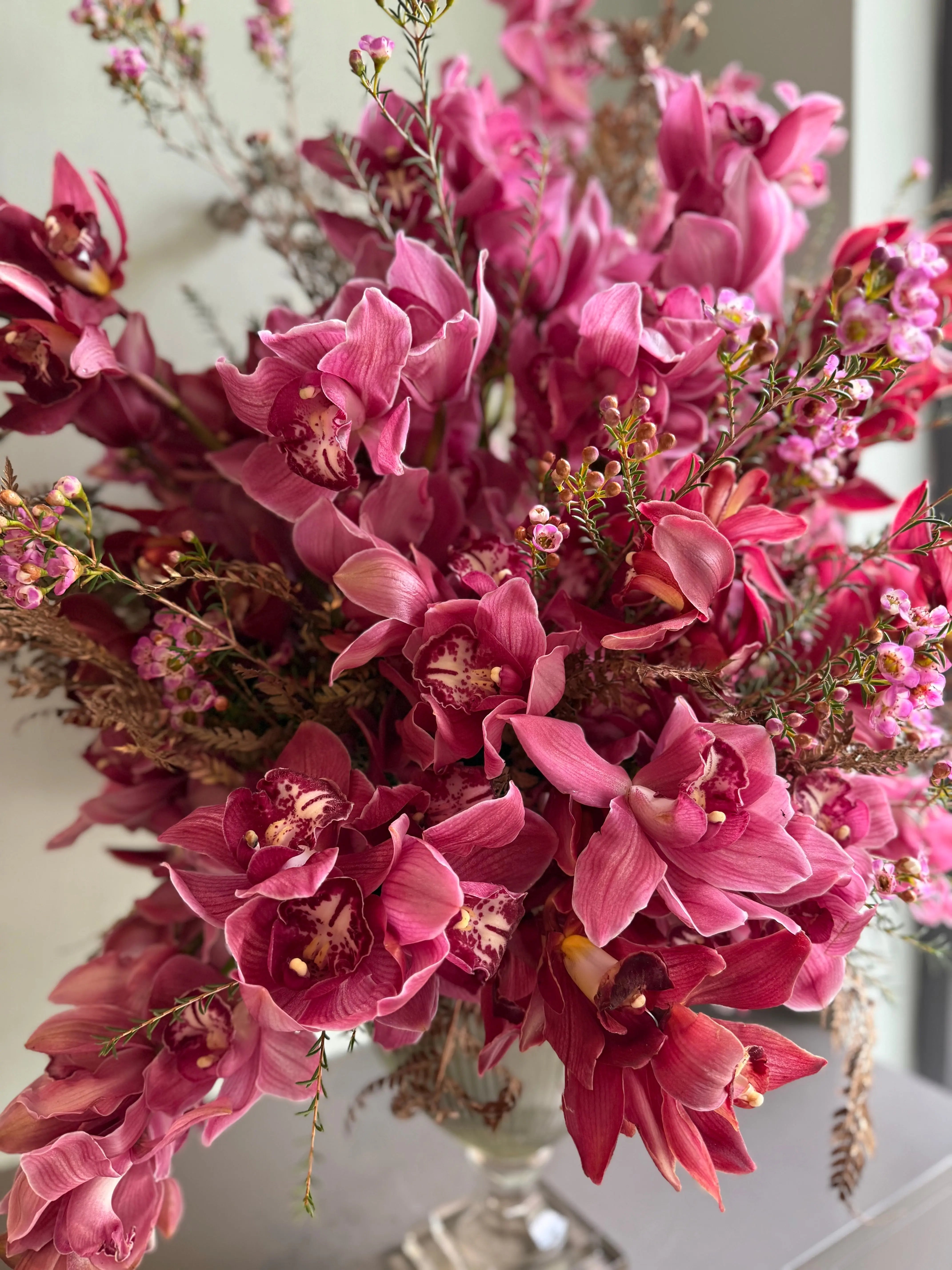 Radical Force 1magnolialane