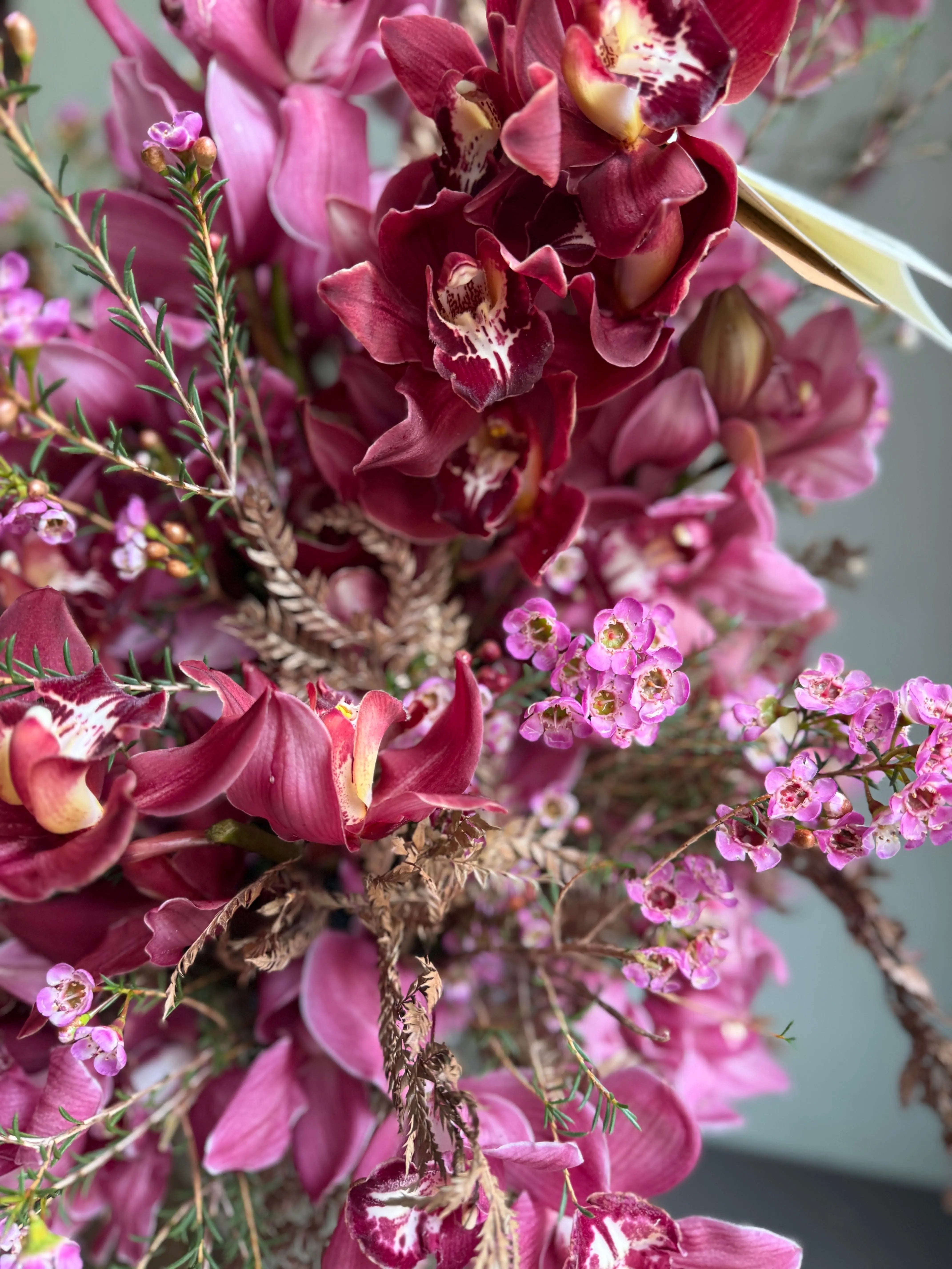 Radical Force 1magnolialane