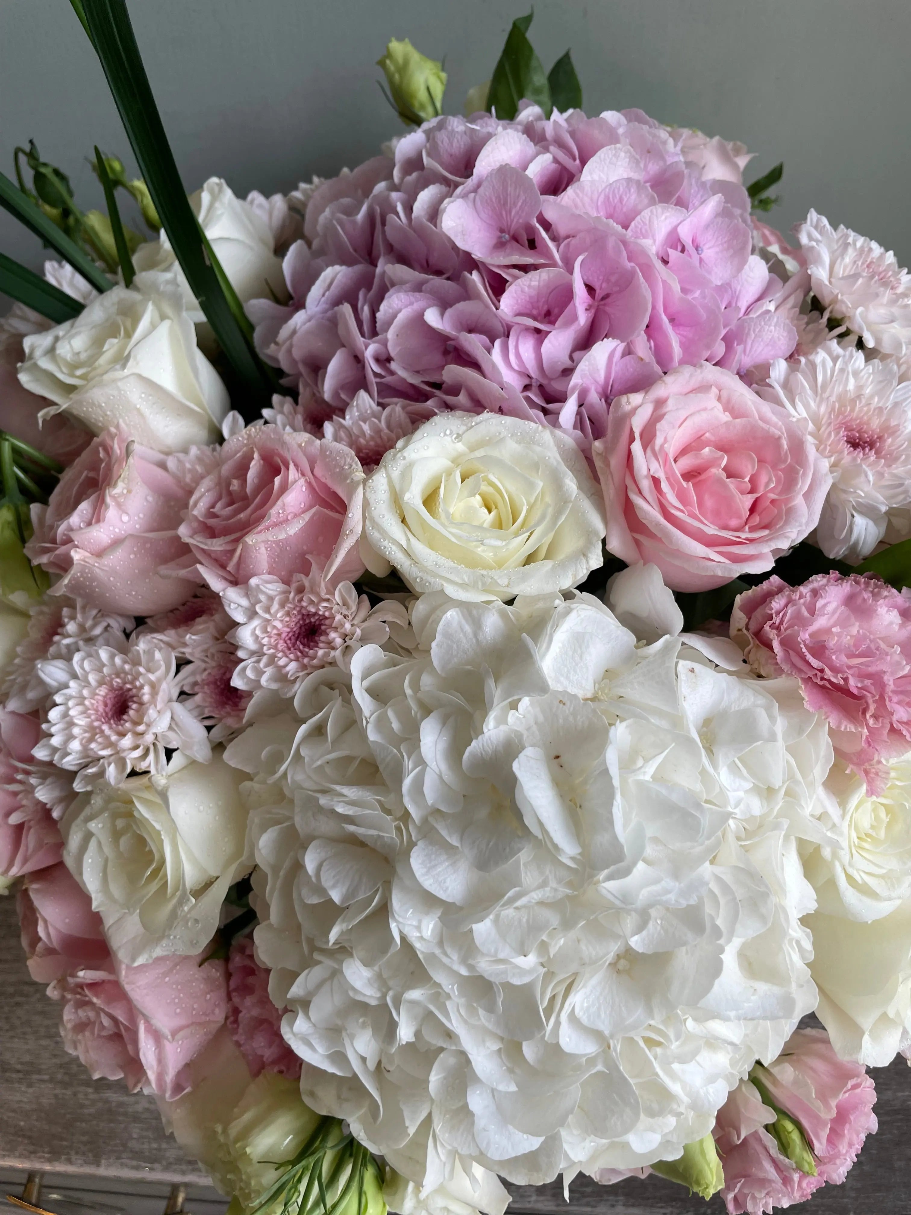 Summer Classic 1magnolialane