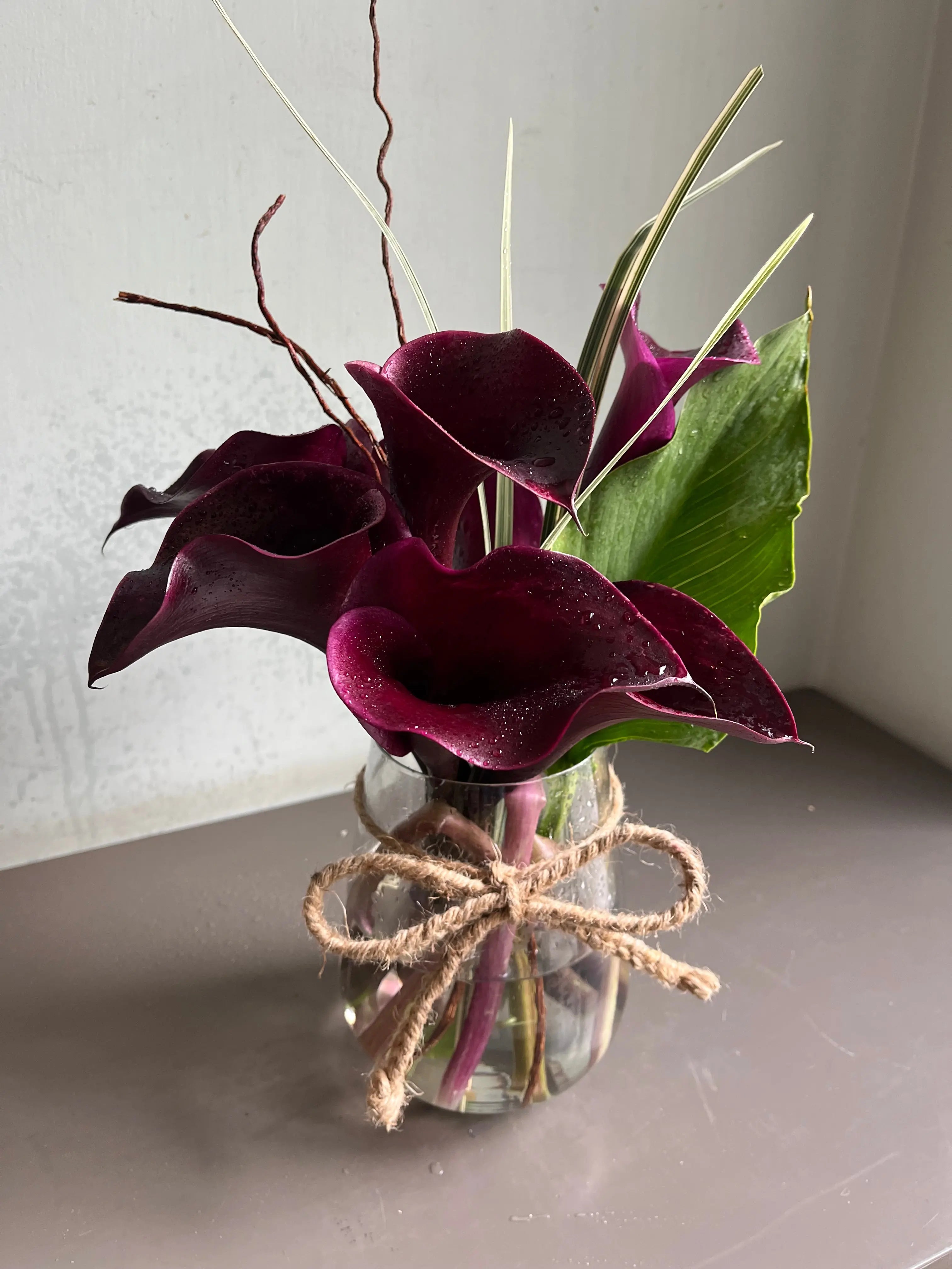 Calla Baby 1magnolialane