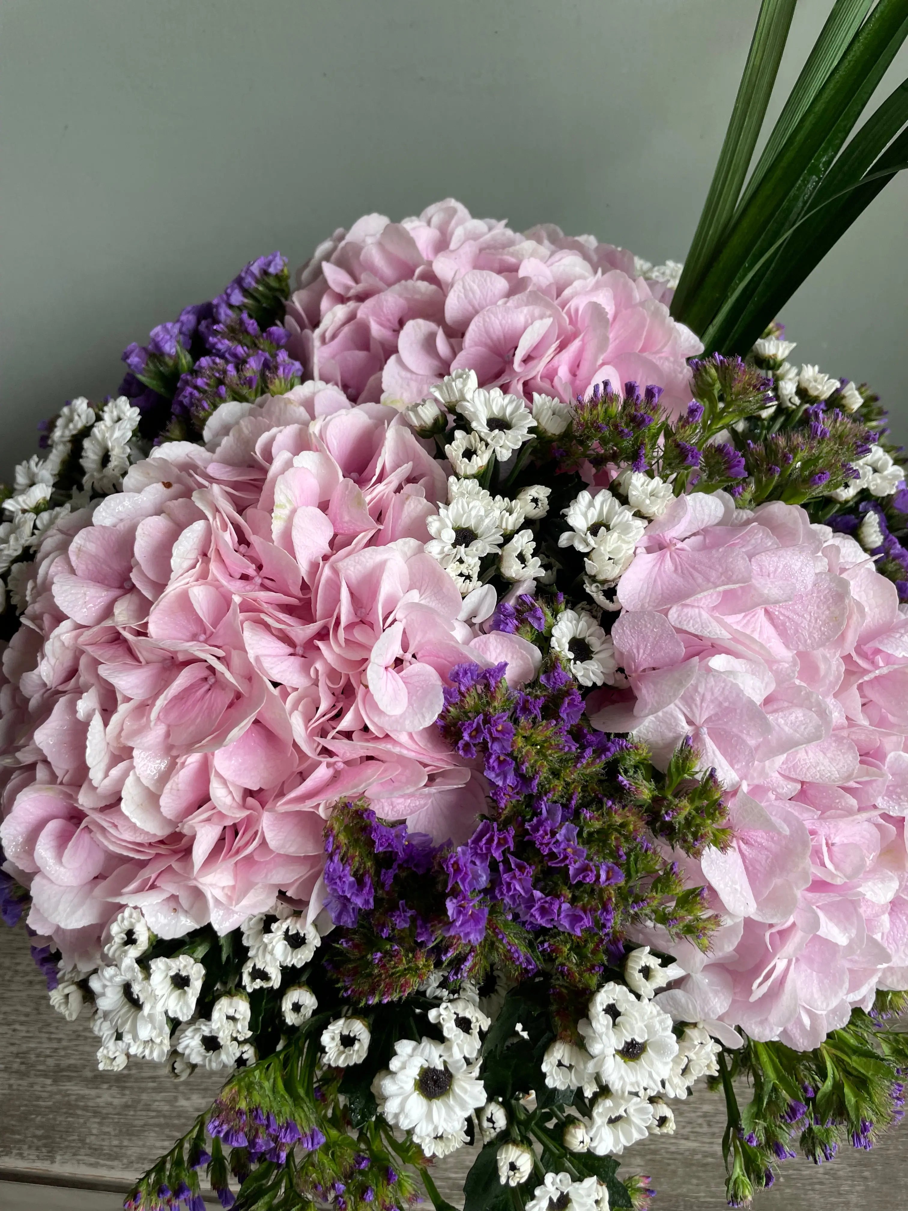 Jedi Mom 1magnolialane