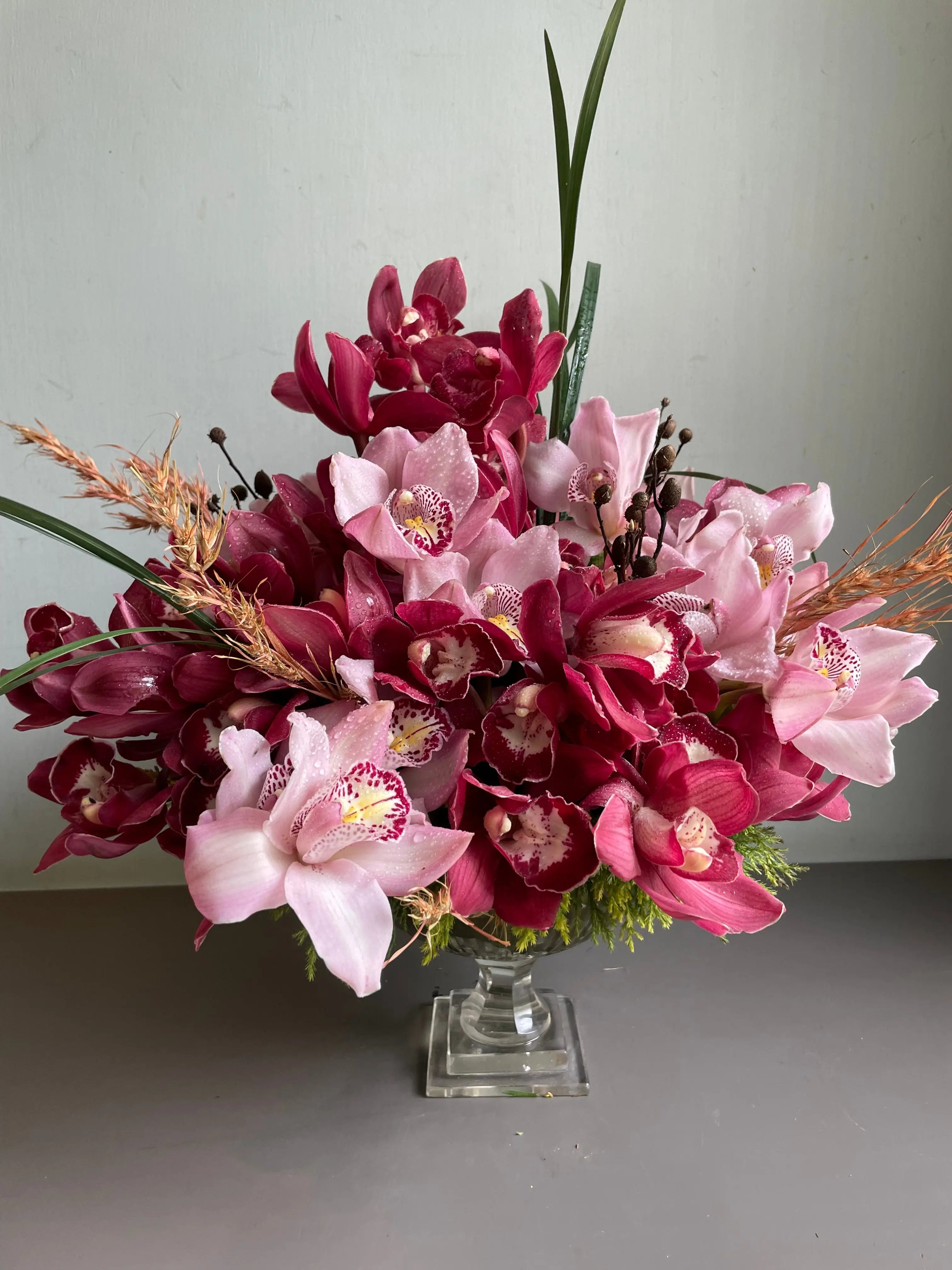 Magic Mummy 1magnolialane