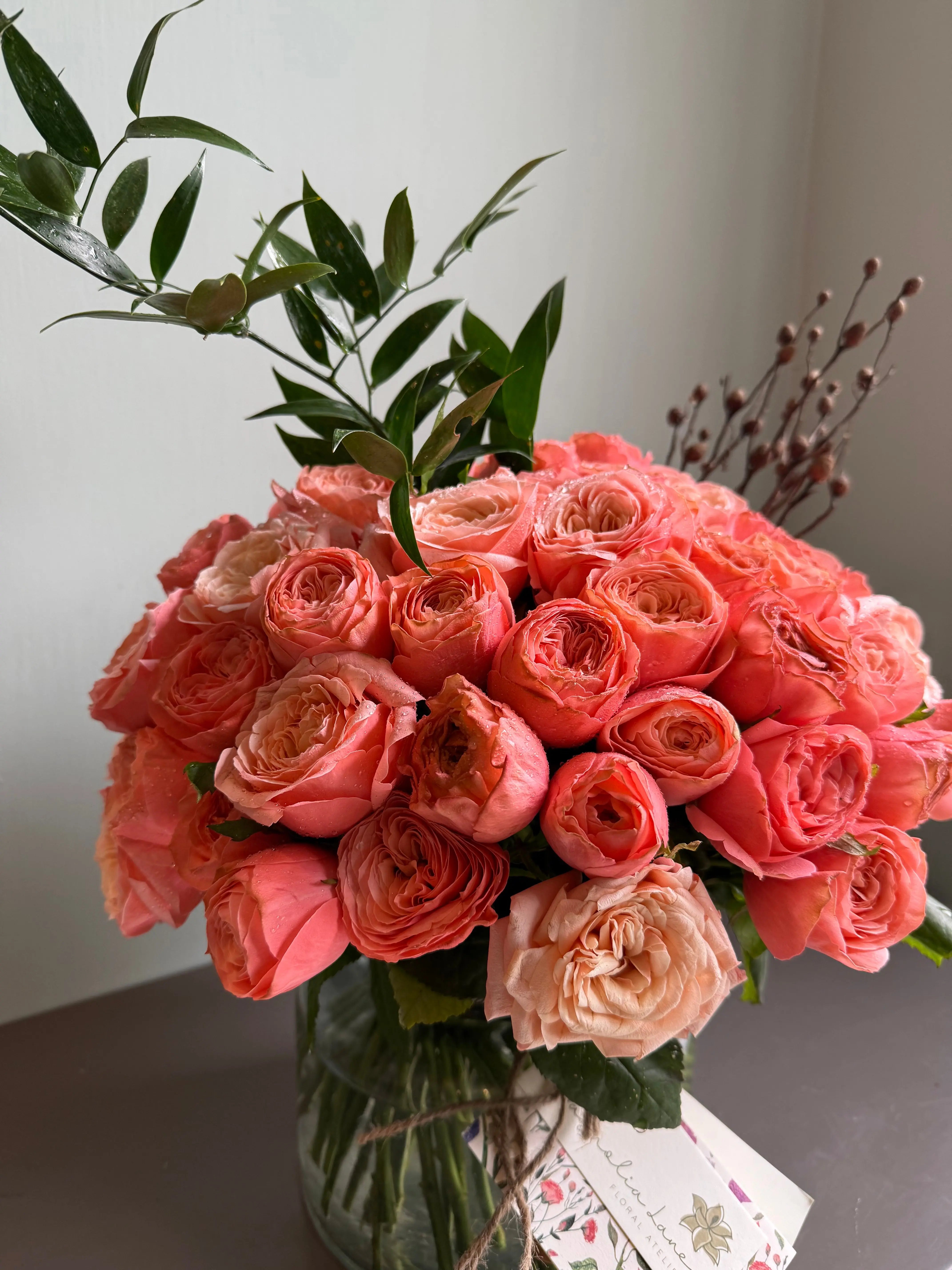 Prophetic Ma 1magnolialane