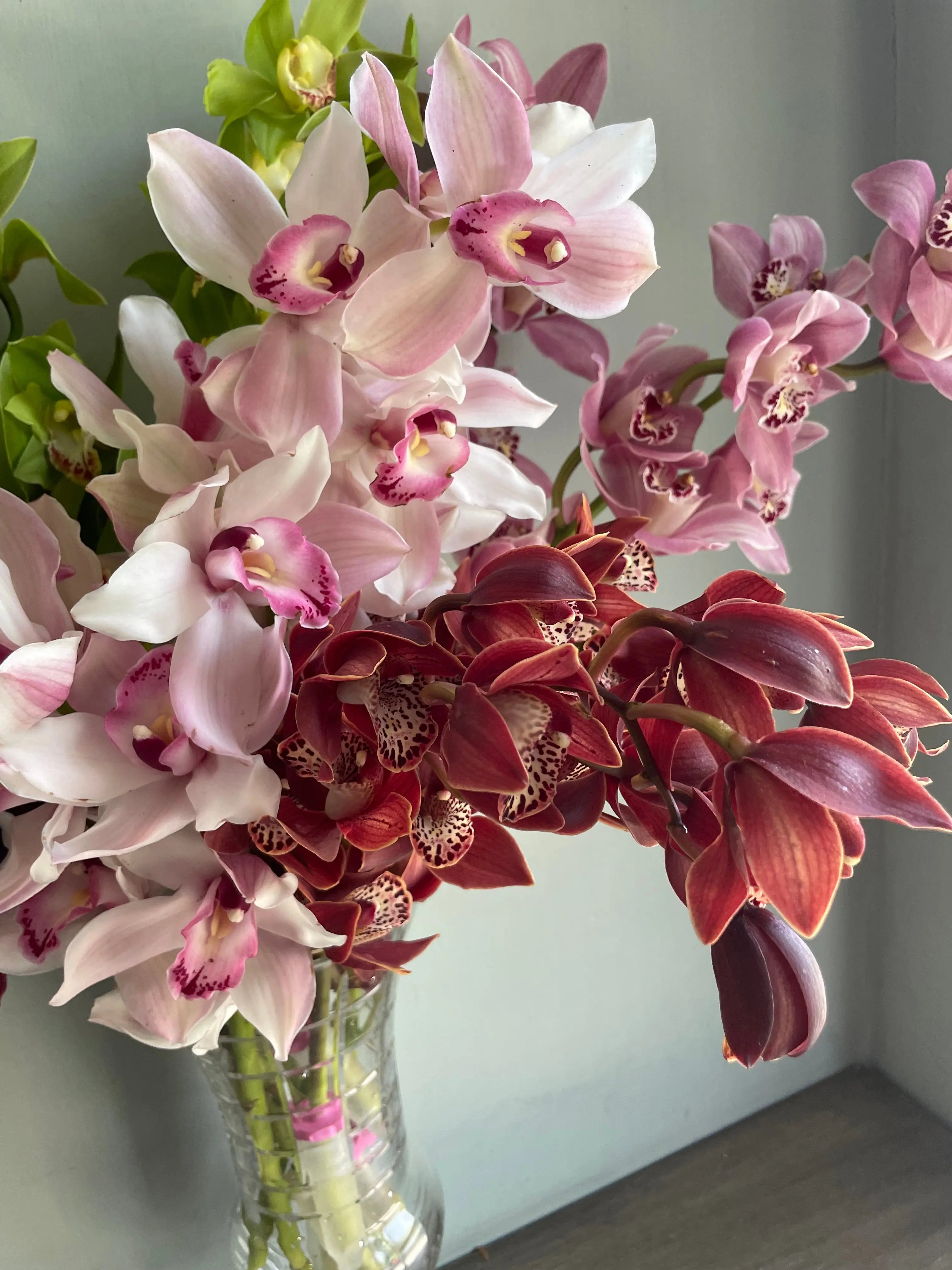 Colour Mash 1magnolialane