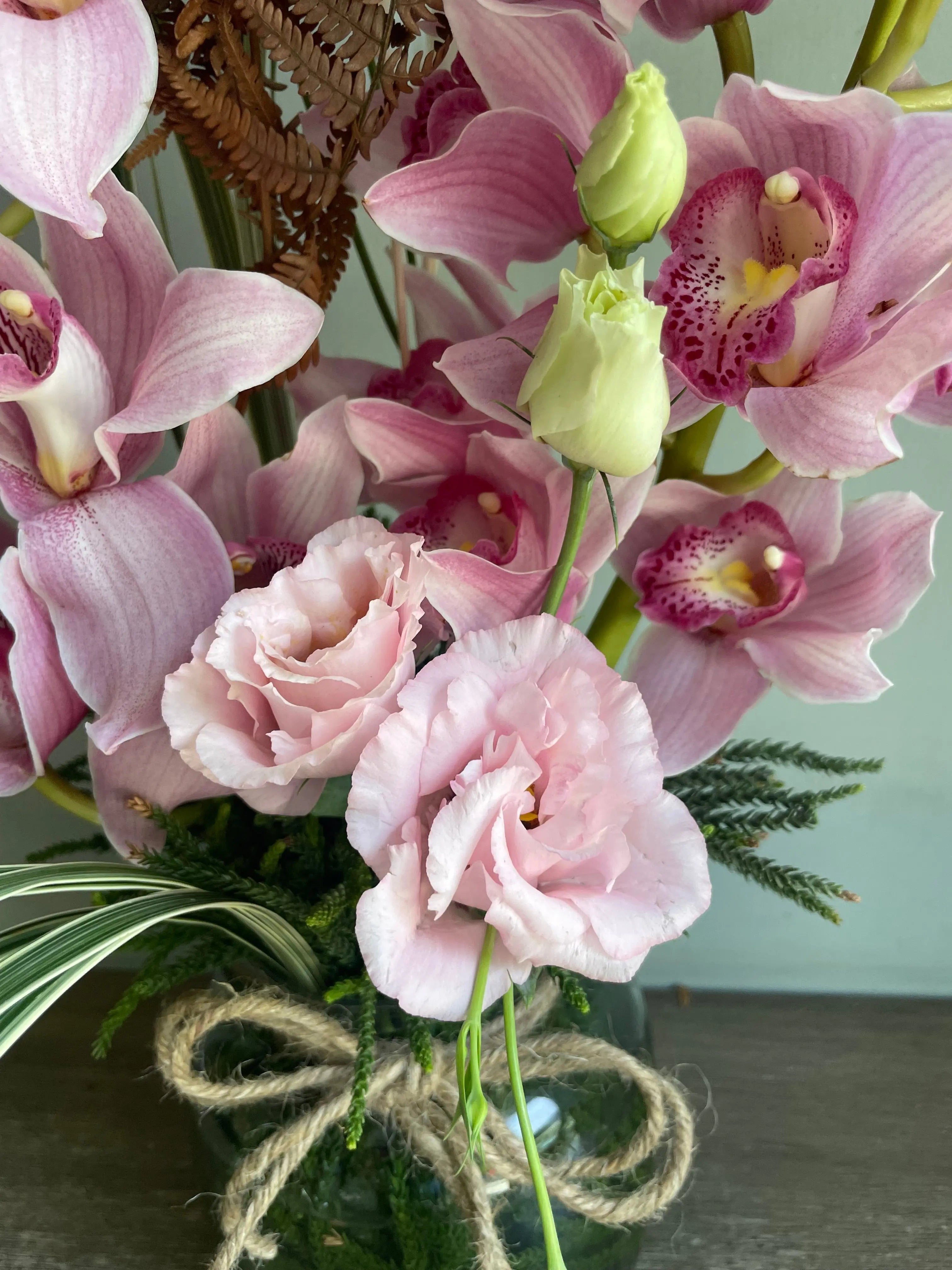 Orchid Dreams 1magnolialane