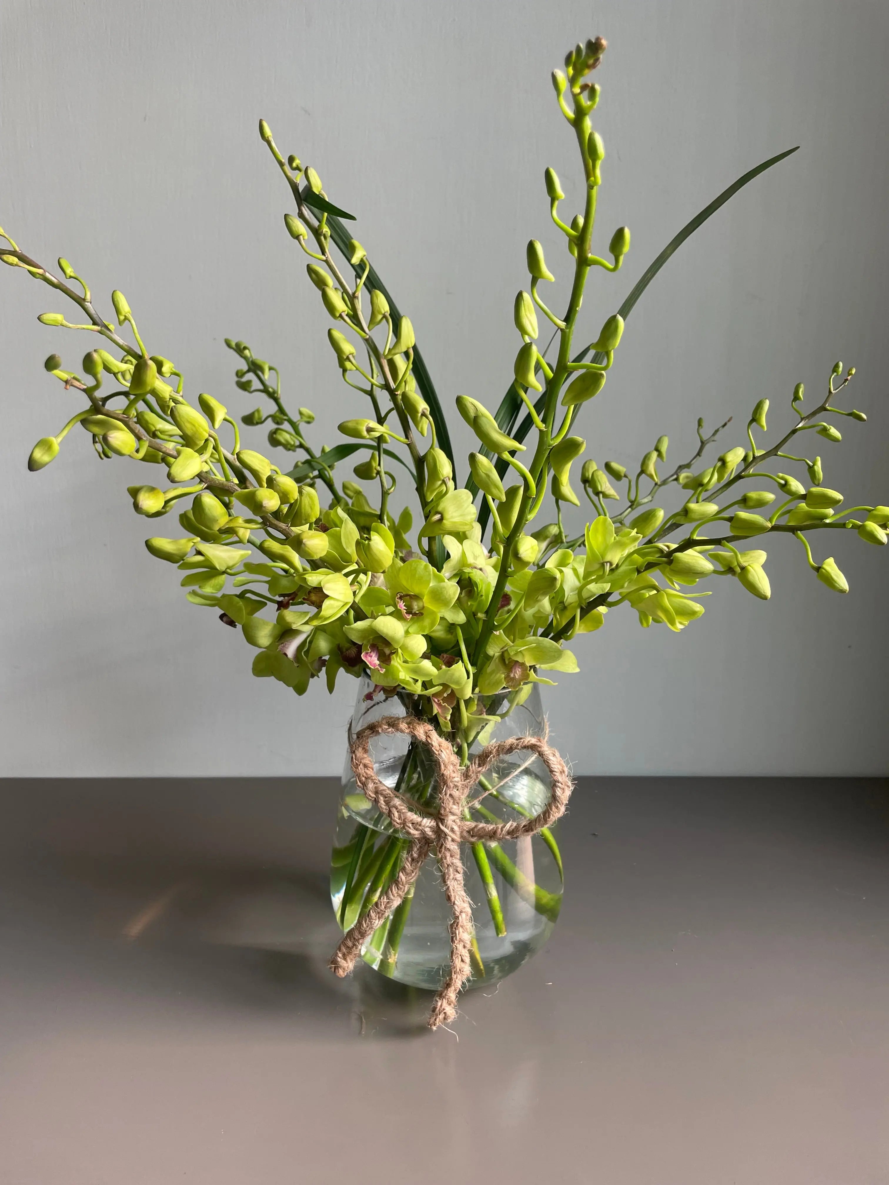 Gasping Green 1magnolialane