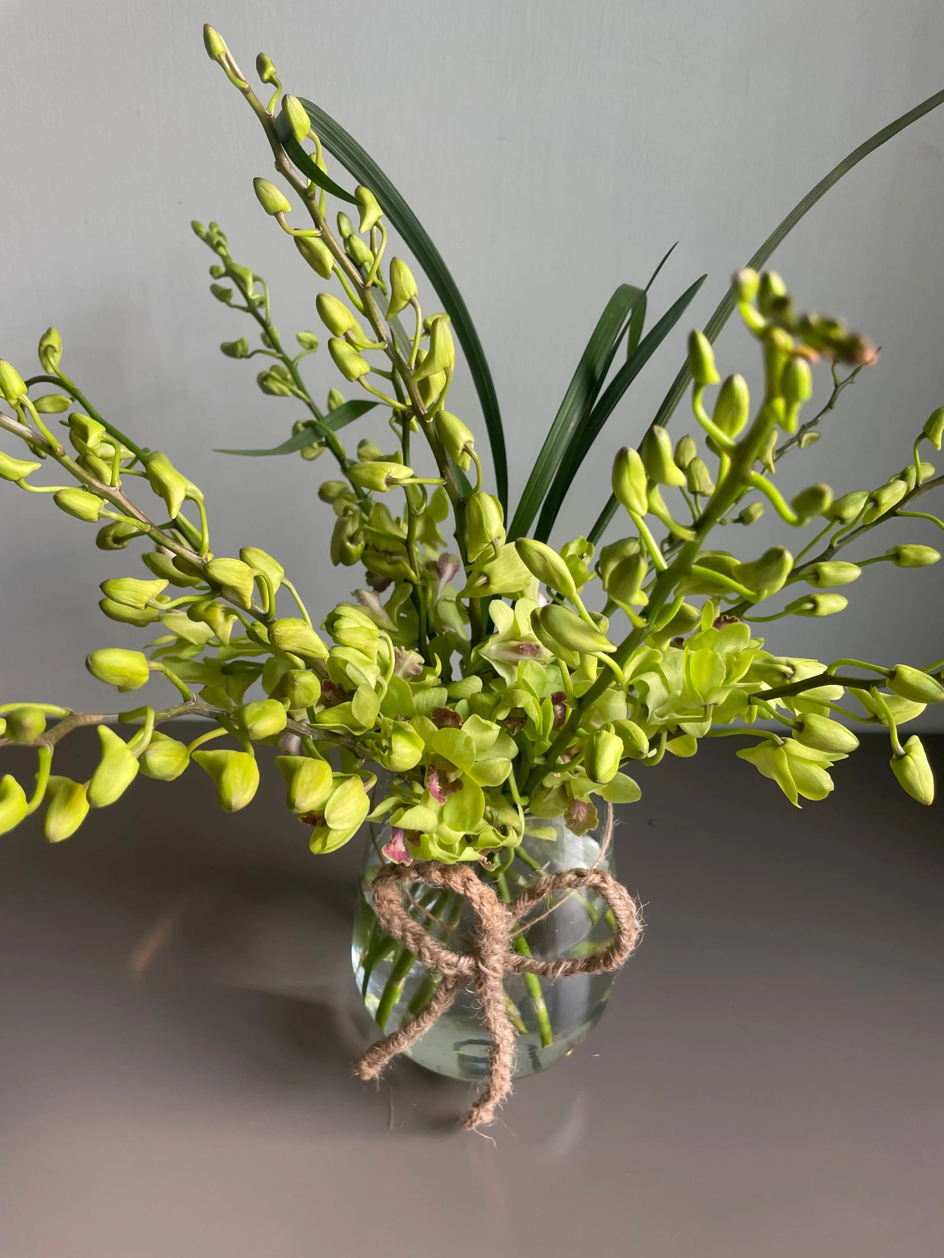 Gasping Green 1magnolialane