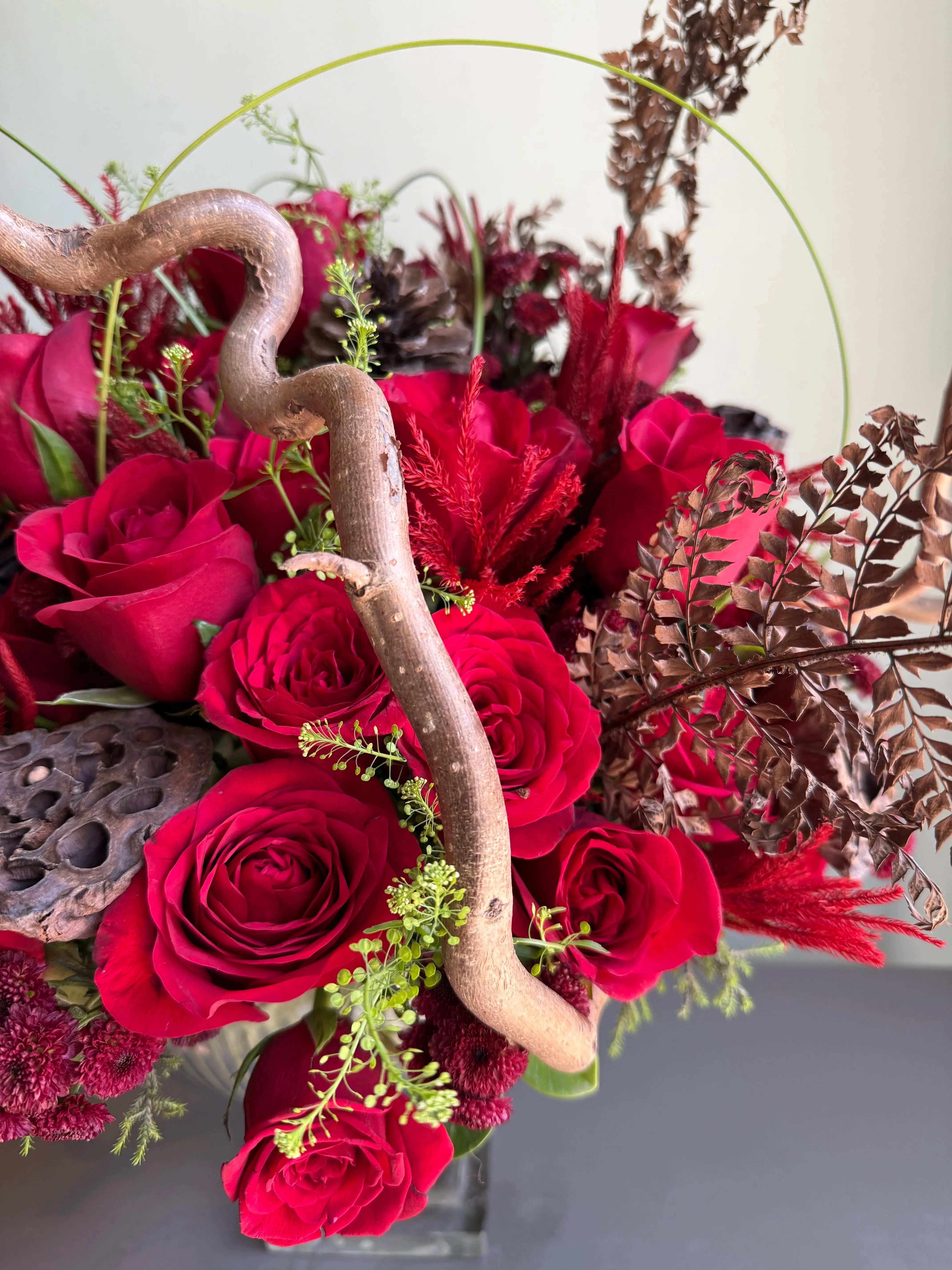 A Rose Conspiracy 1magnolialane