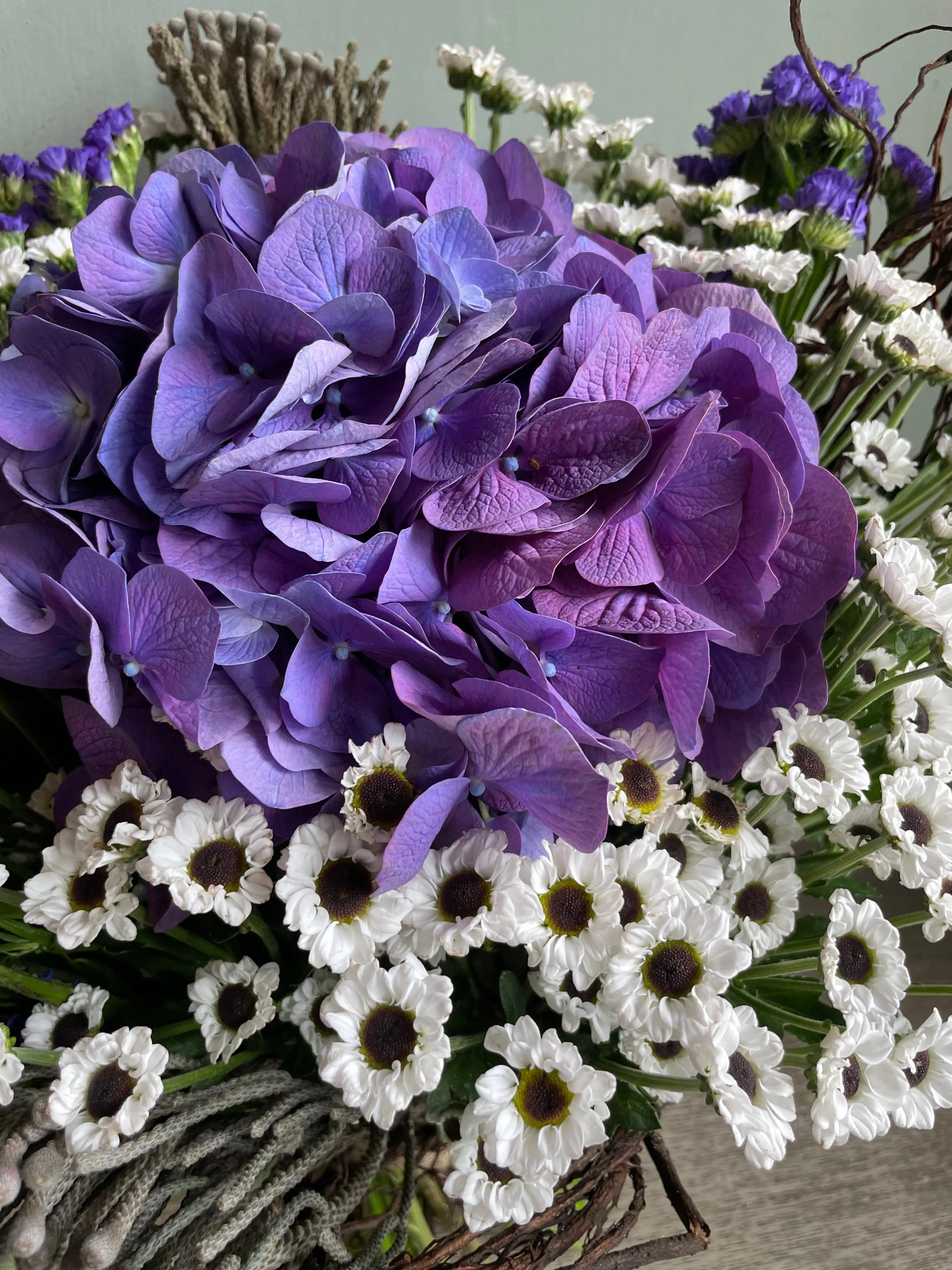 Lilac Lolly 1magnolialane