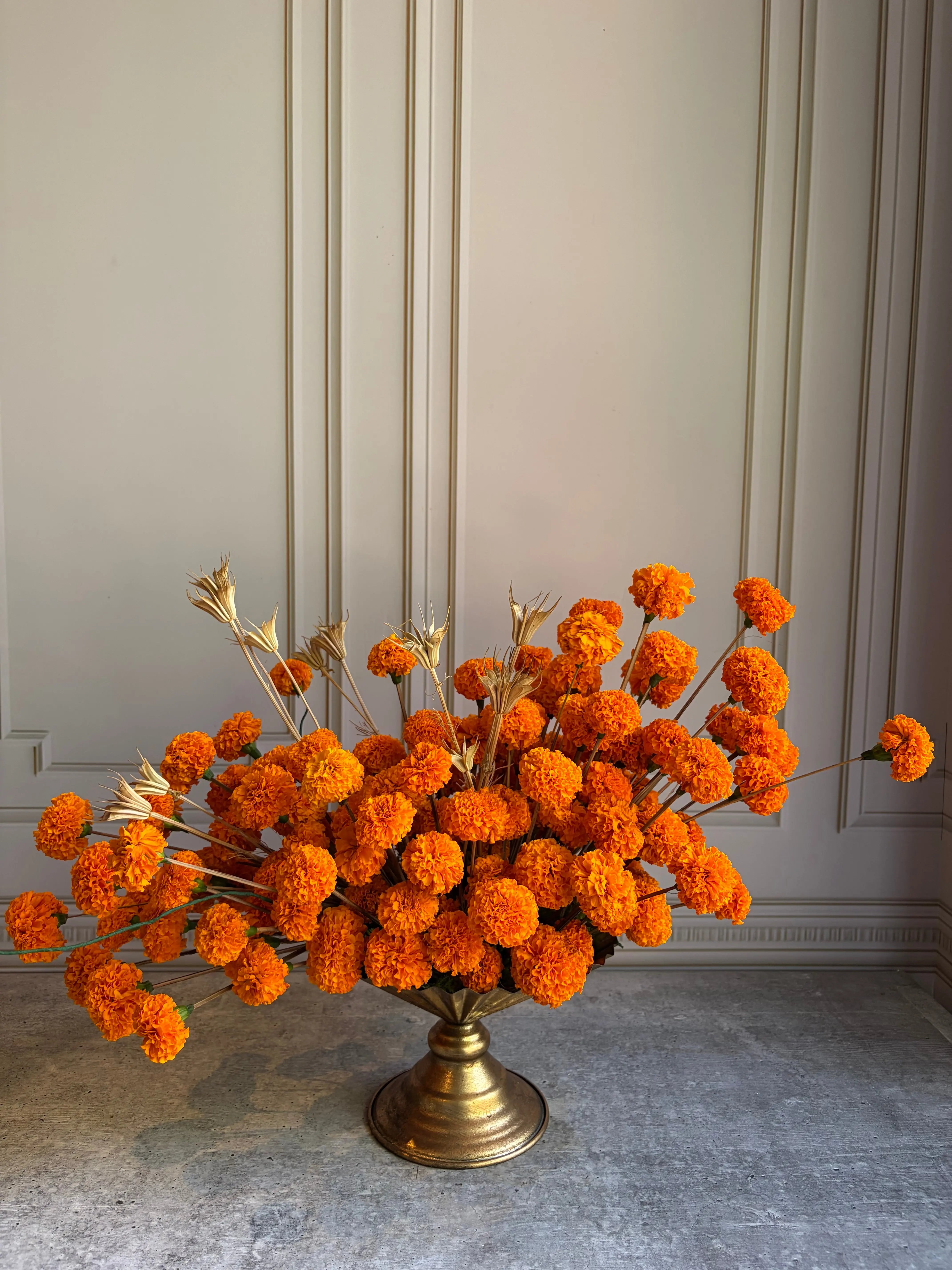 Sunburst 1magnolialane